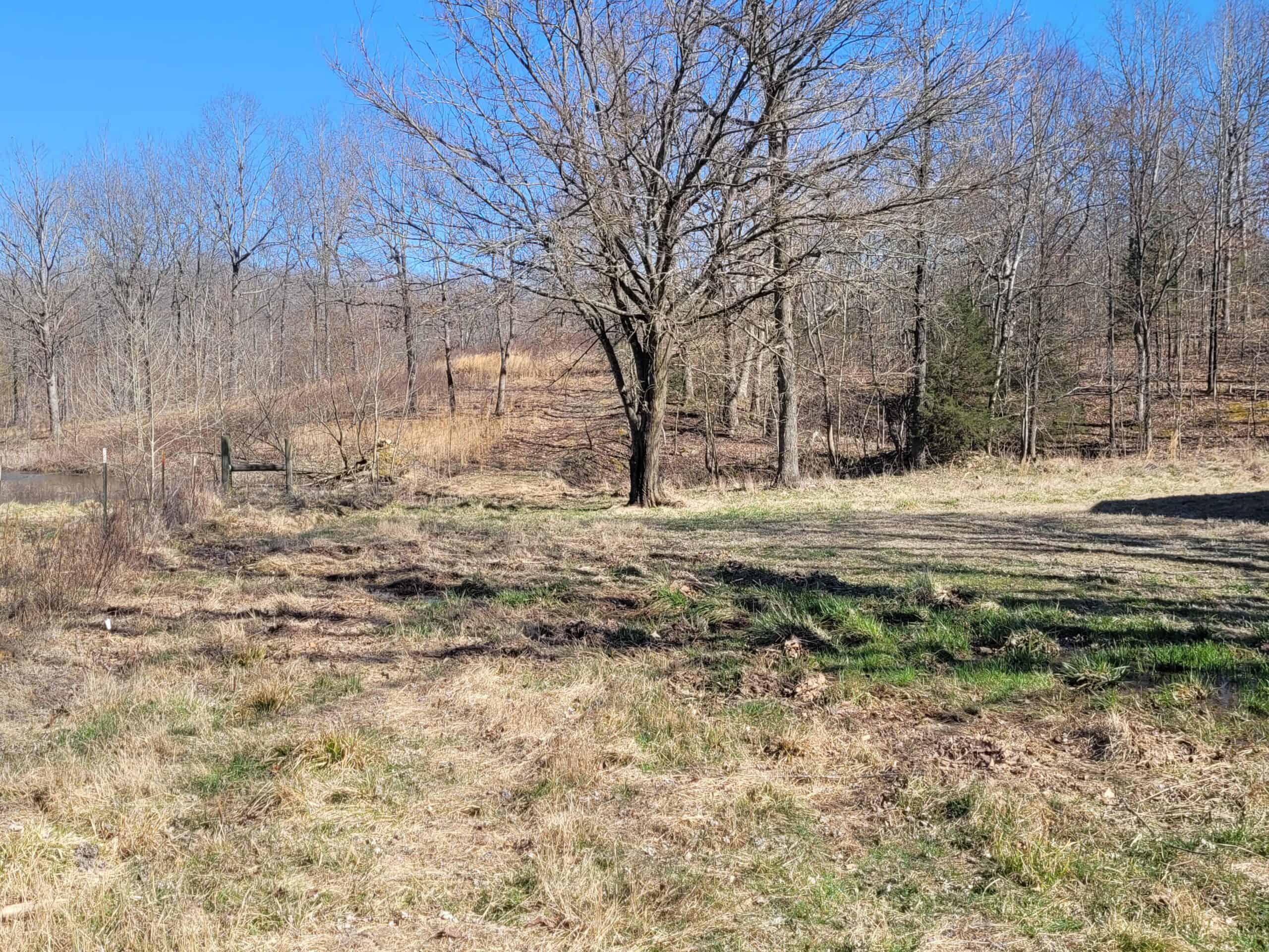 OZARKS CABIN AND HOBBY FARM/RECREATIONAL ACREAGE