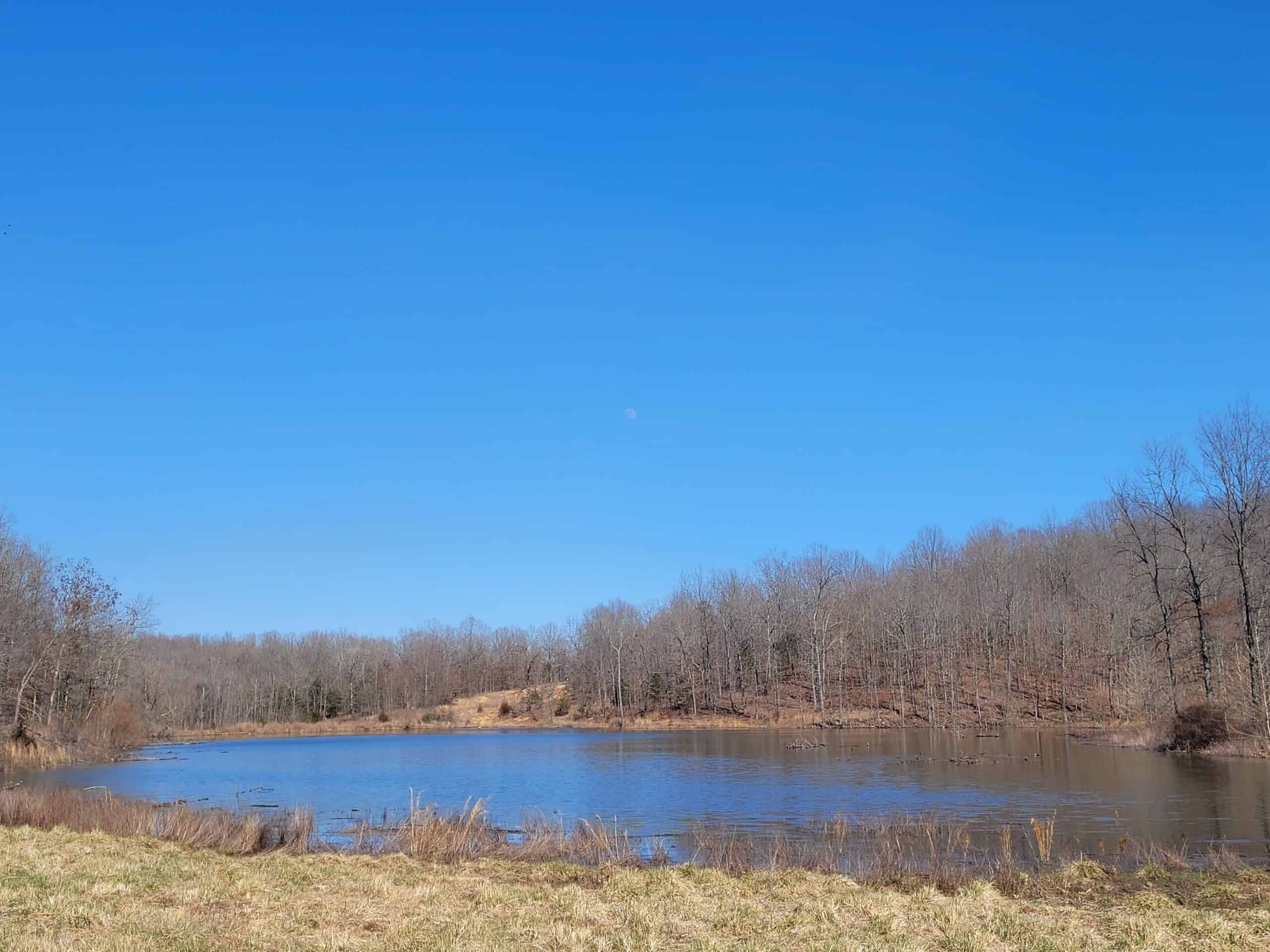 OZARKS CABIN AND HOBBY FARM/RECREATIONAL ACREAGE
