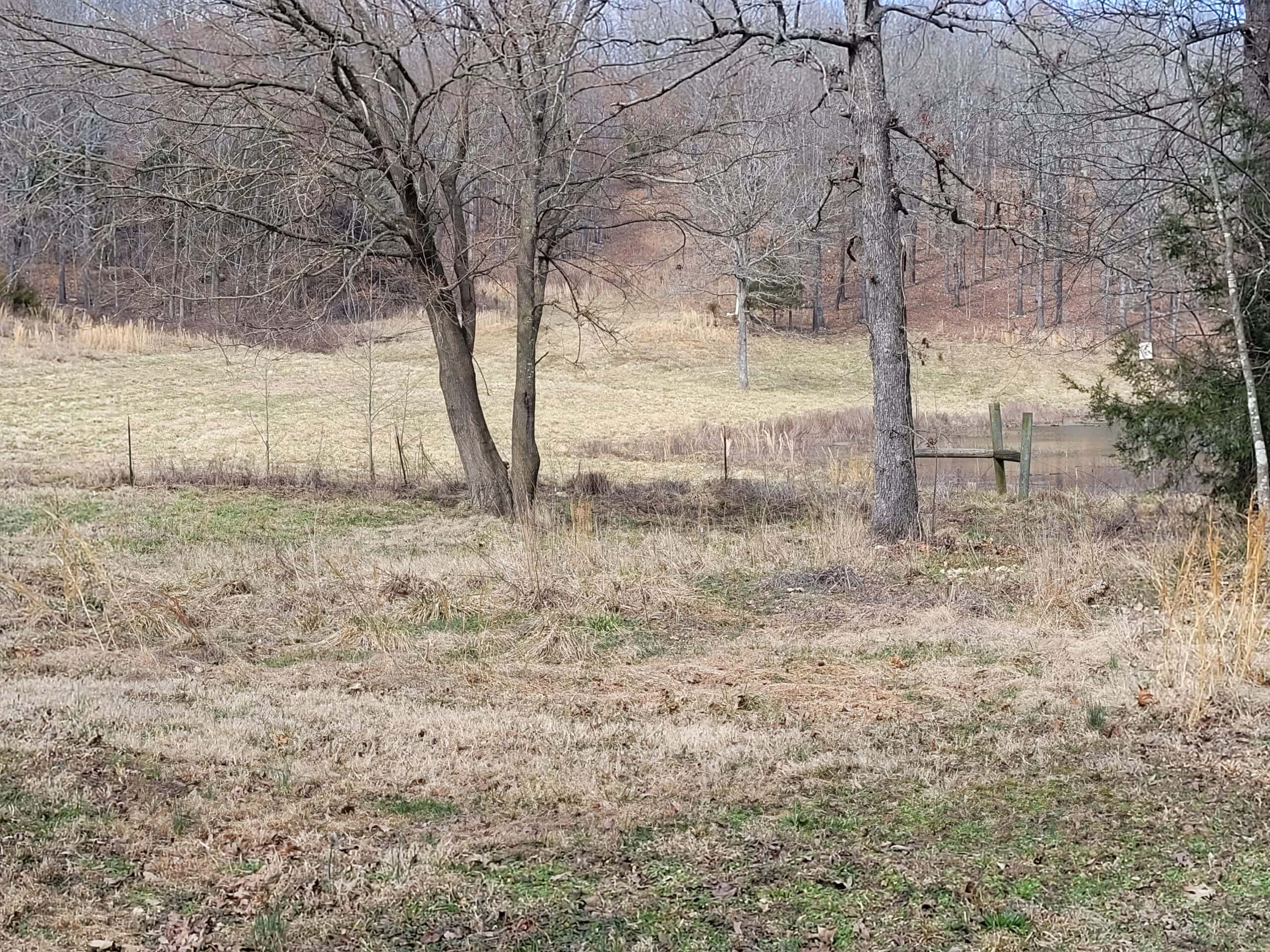 OZARKS CABIN AND HOBBY FARM/RECREATIONAL ACREAGE