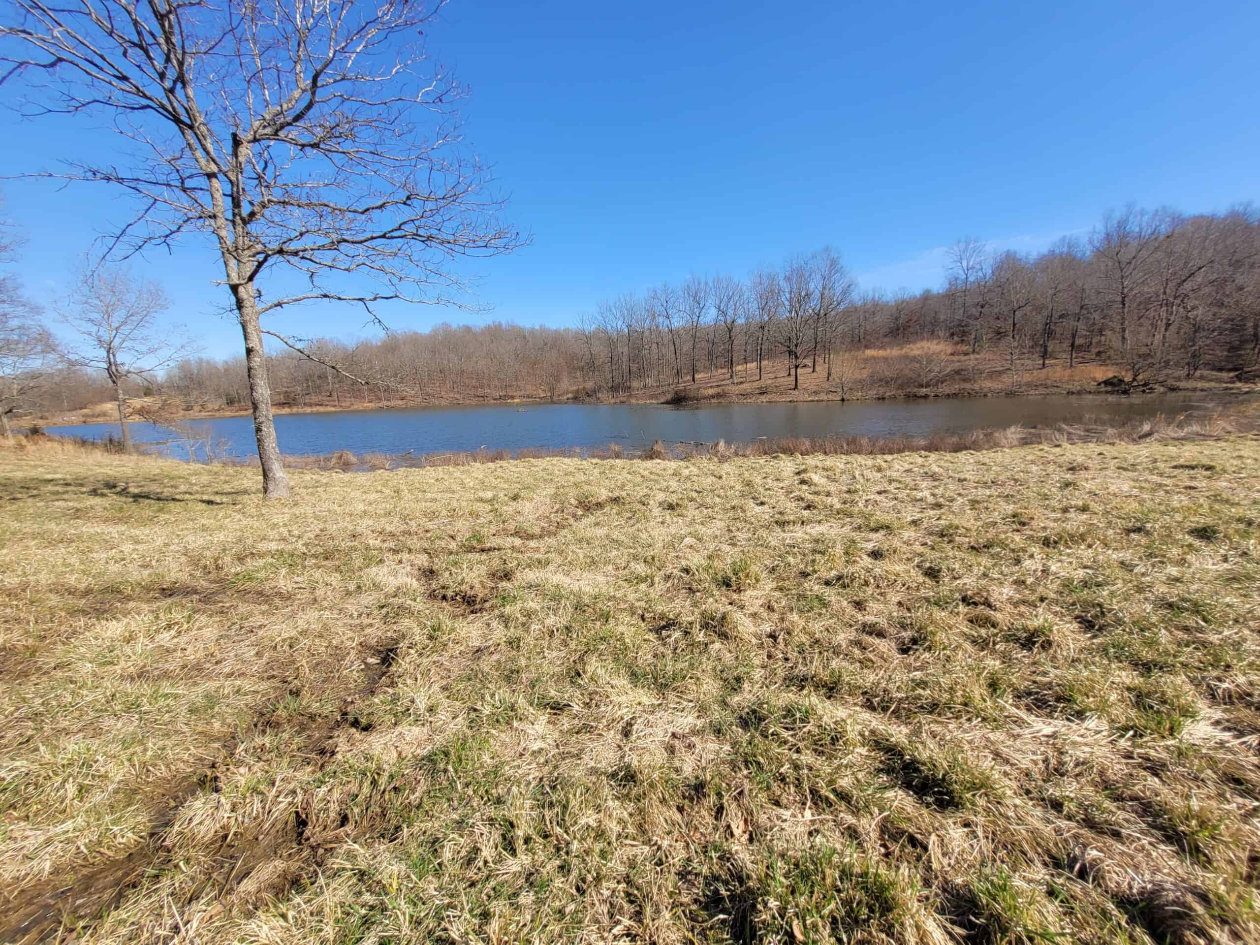 OZARKS CABIN AND HOBBY FARM/RECREATIONAL ACREAGE