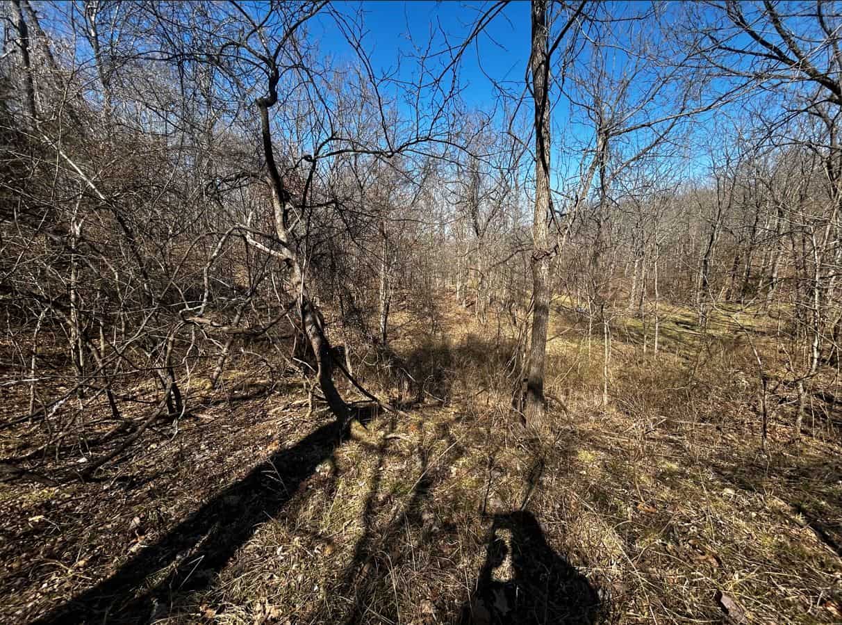 OZARKS CABIN AND HOBBY FARM/RECREATIONAL ACREAGE