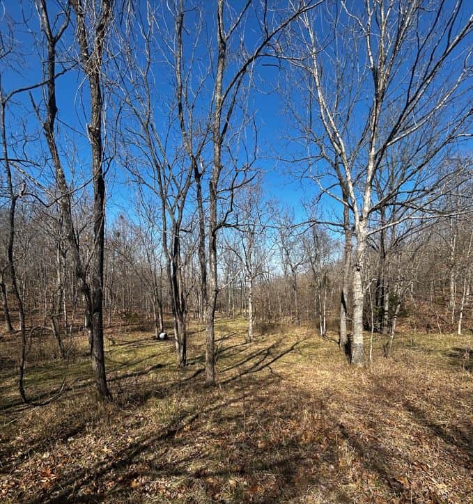 OZARKS CABIN AND HOBBY FARM/RECREATIONAL ACREAGE