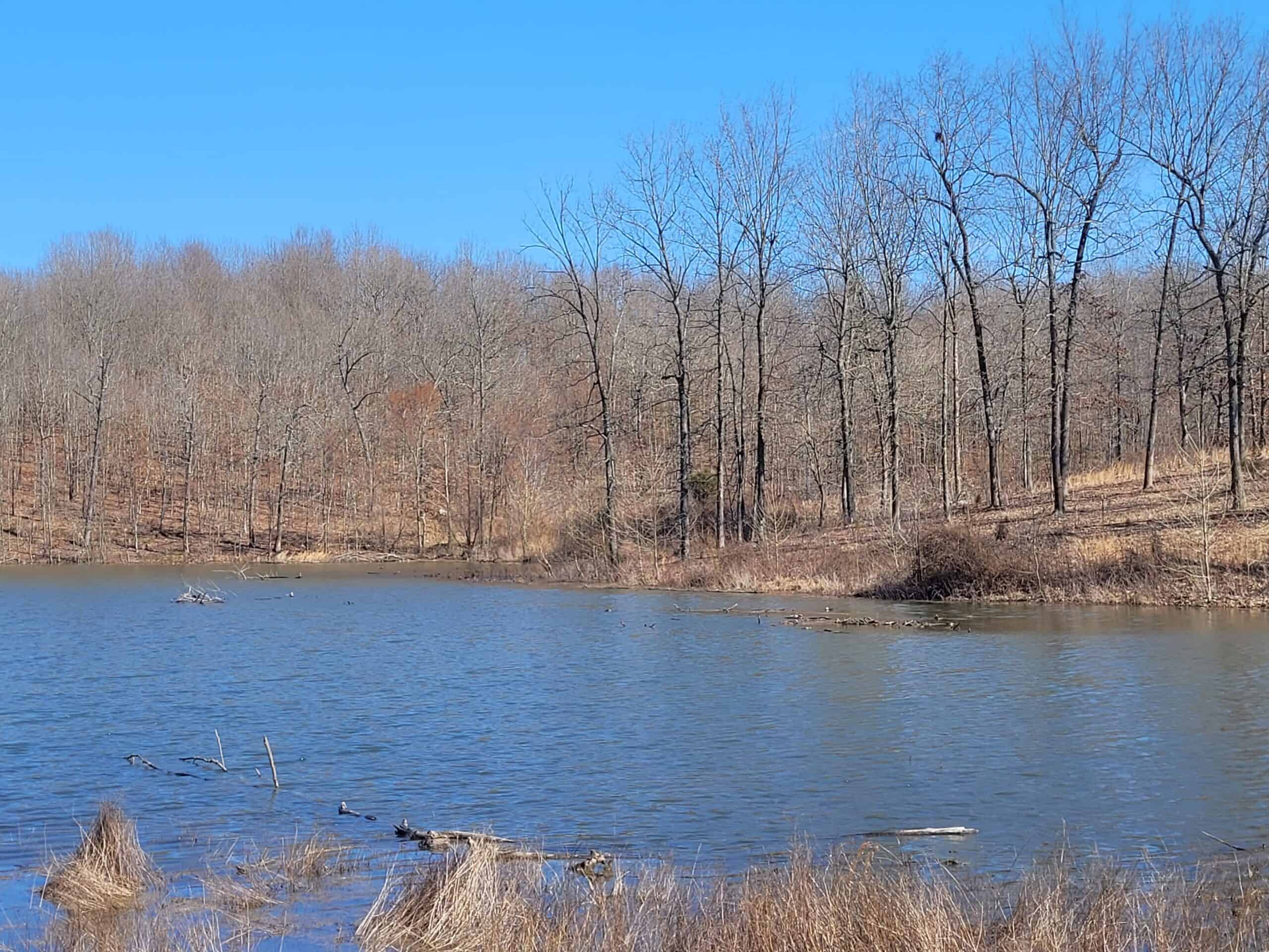 OZARKS CABIN AND HOBBY FARM/RECREATIONAL ACREAGE