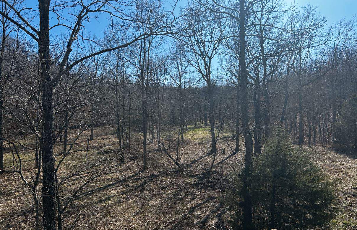 OZARKS CABIN AND HOBBY FARM/RECREATIONAL ACREAGE