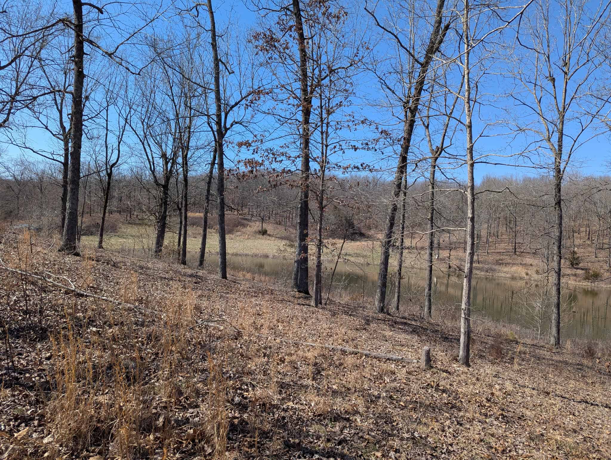 OZARKS CABIN AND HOBBY FARM/RECREATIONAL ACREAGE
