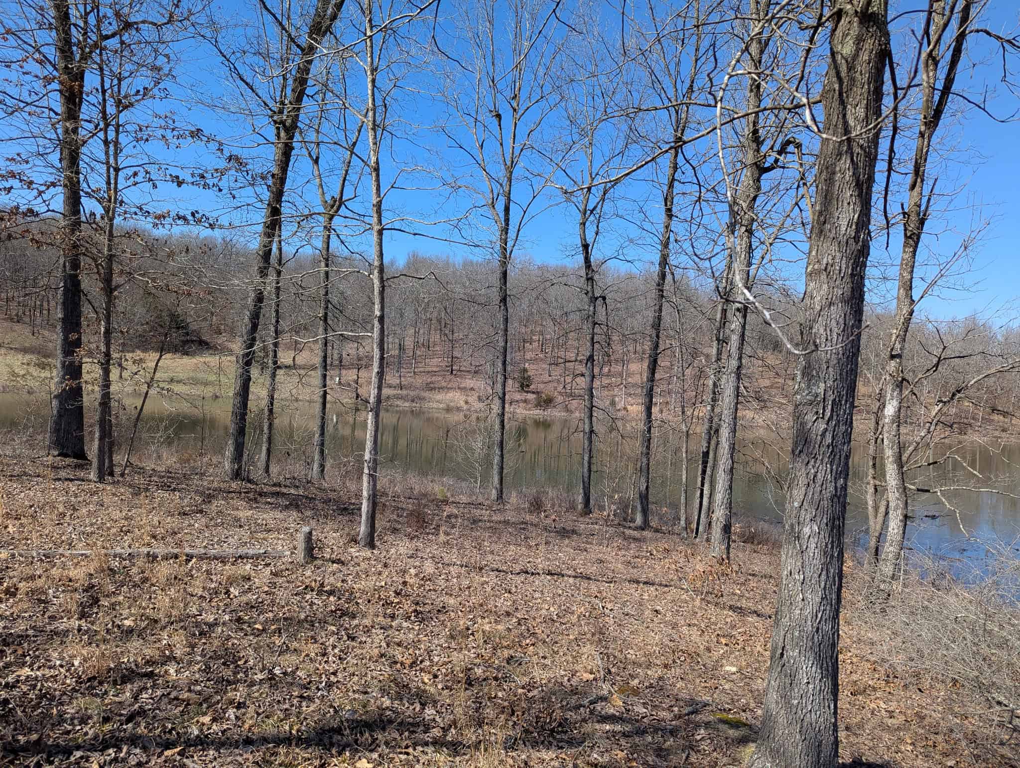OZARKS CABIN AND HOBBY FARM/RECREATIONAL ACREAGE