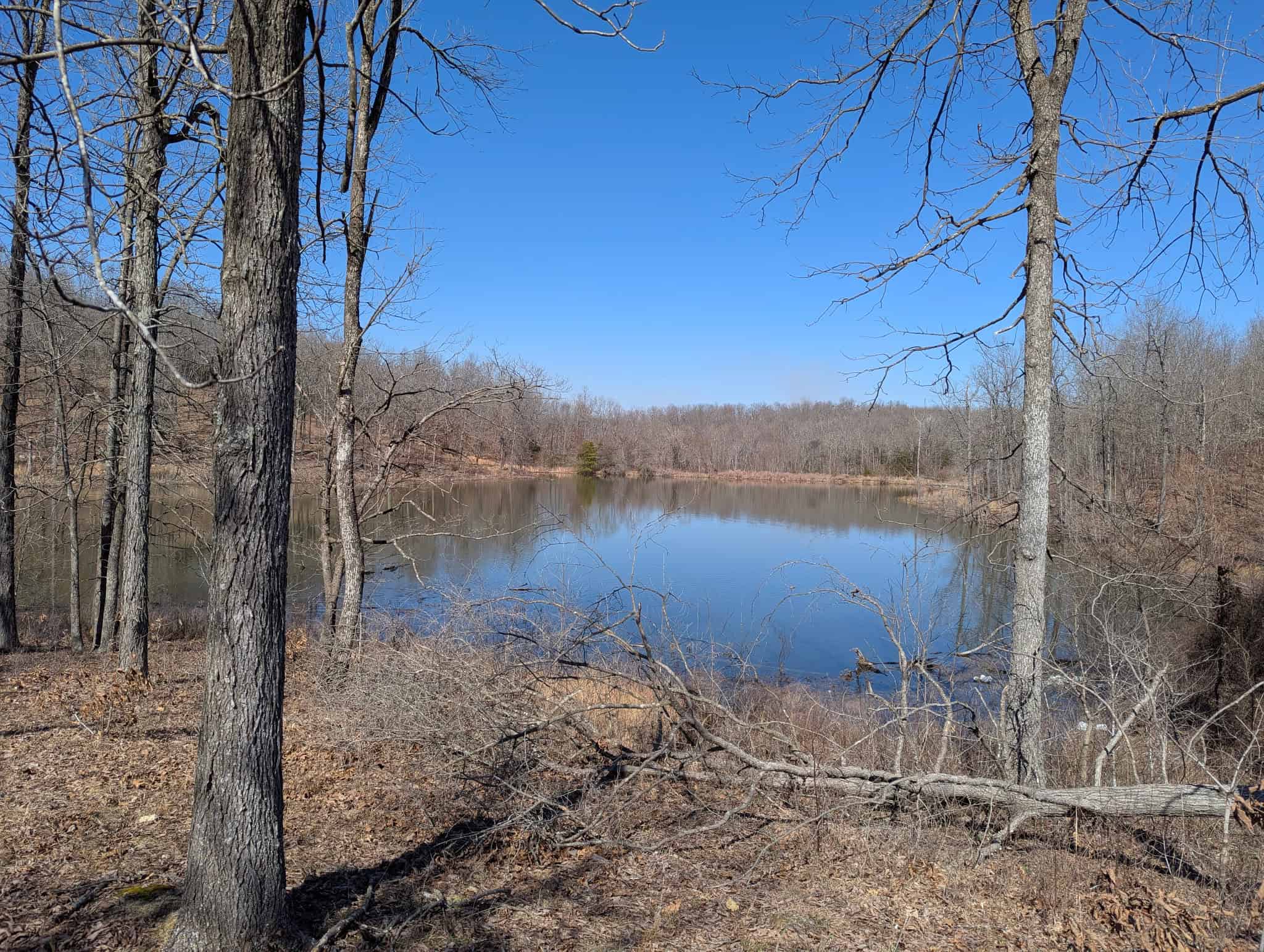 OZARKS CABIN AND HOBBY FARM/RECREATIONAL ACREAGE