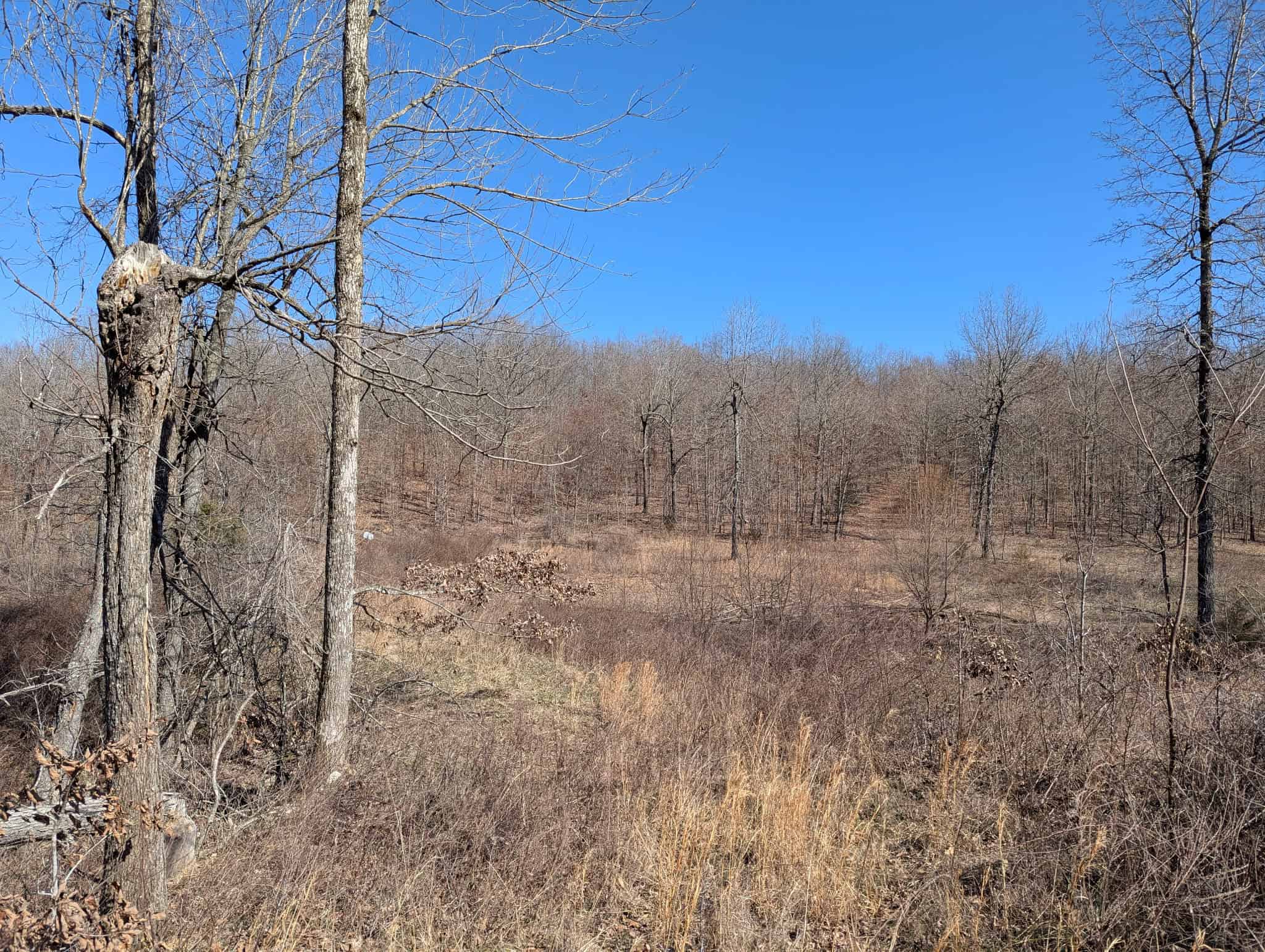 OZARKS CABIN AND HOBBY FARM/RECREATIONAL ACREAGE
