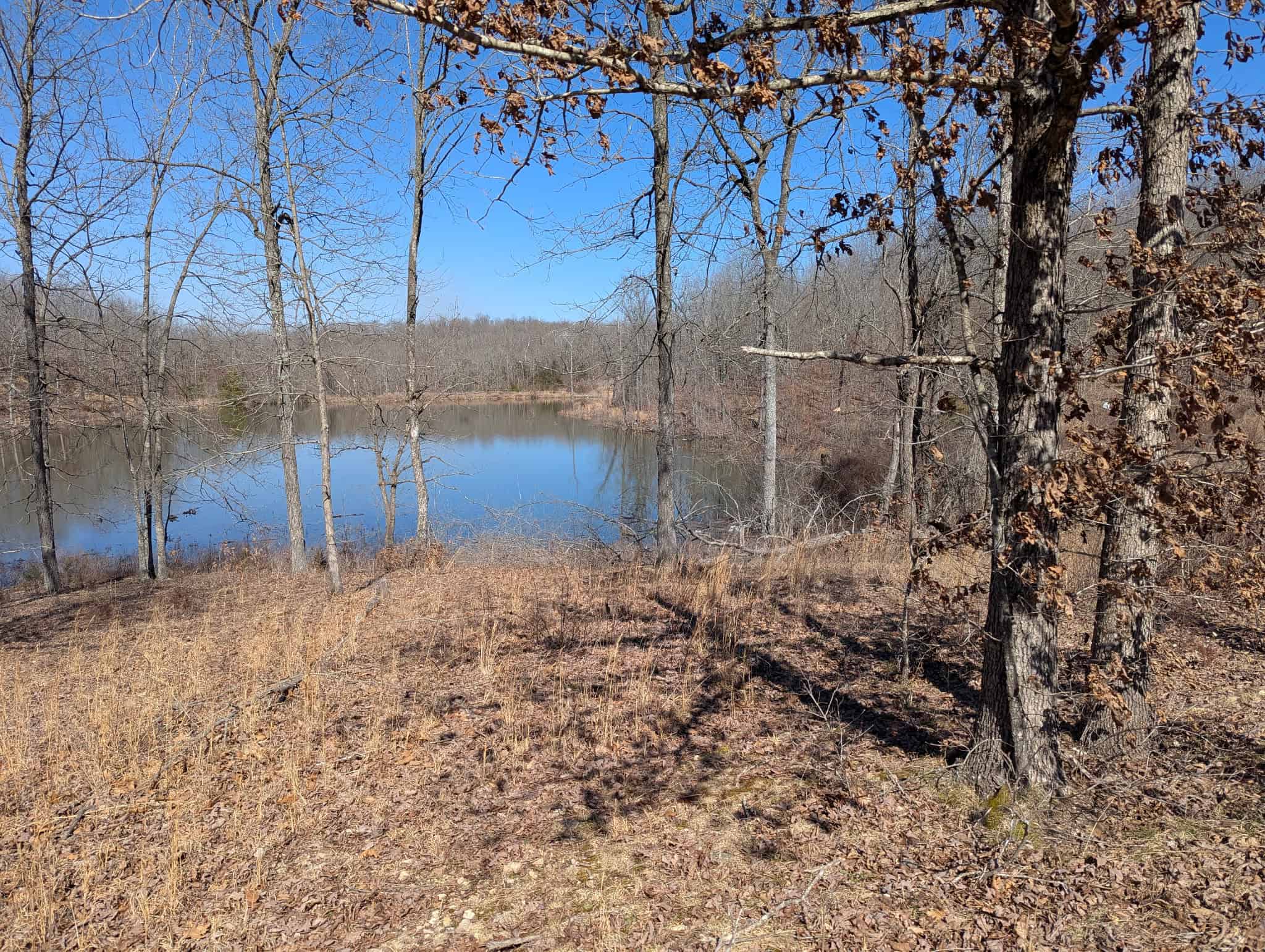 OZARKS CABIN AND HOBBY FARM/RECREATIONAL ACREAGE