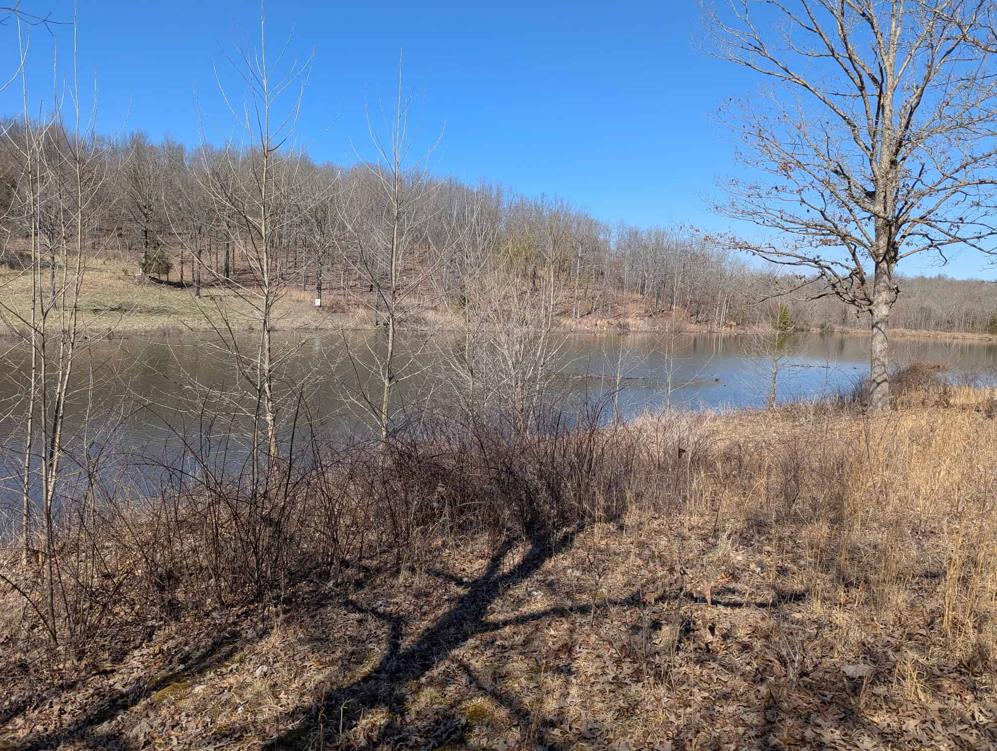 OZARKS CABIN AND HOBBY FARM/RECREATIONAL ACREAGE