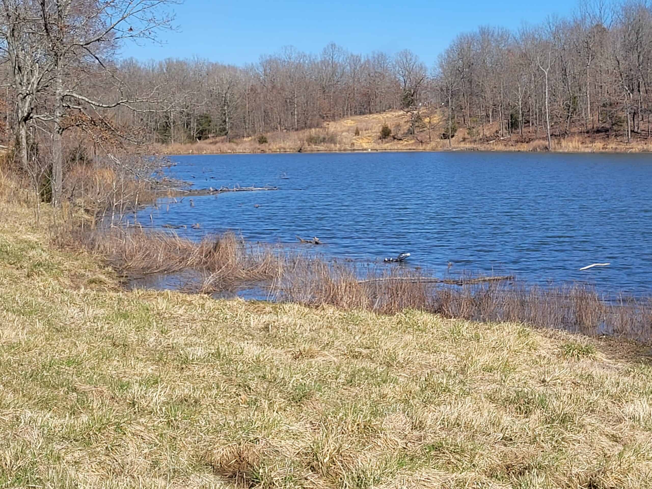 OZARKS CABIN AND HOBBY FARM/RECREATIONAL ACREAGE