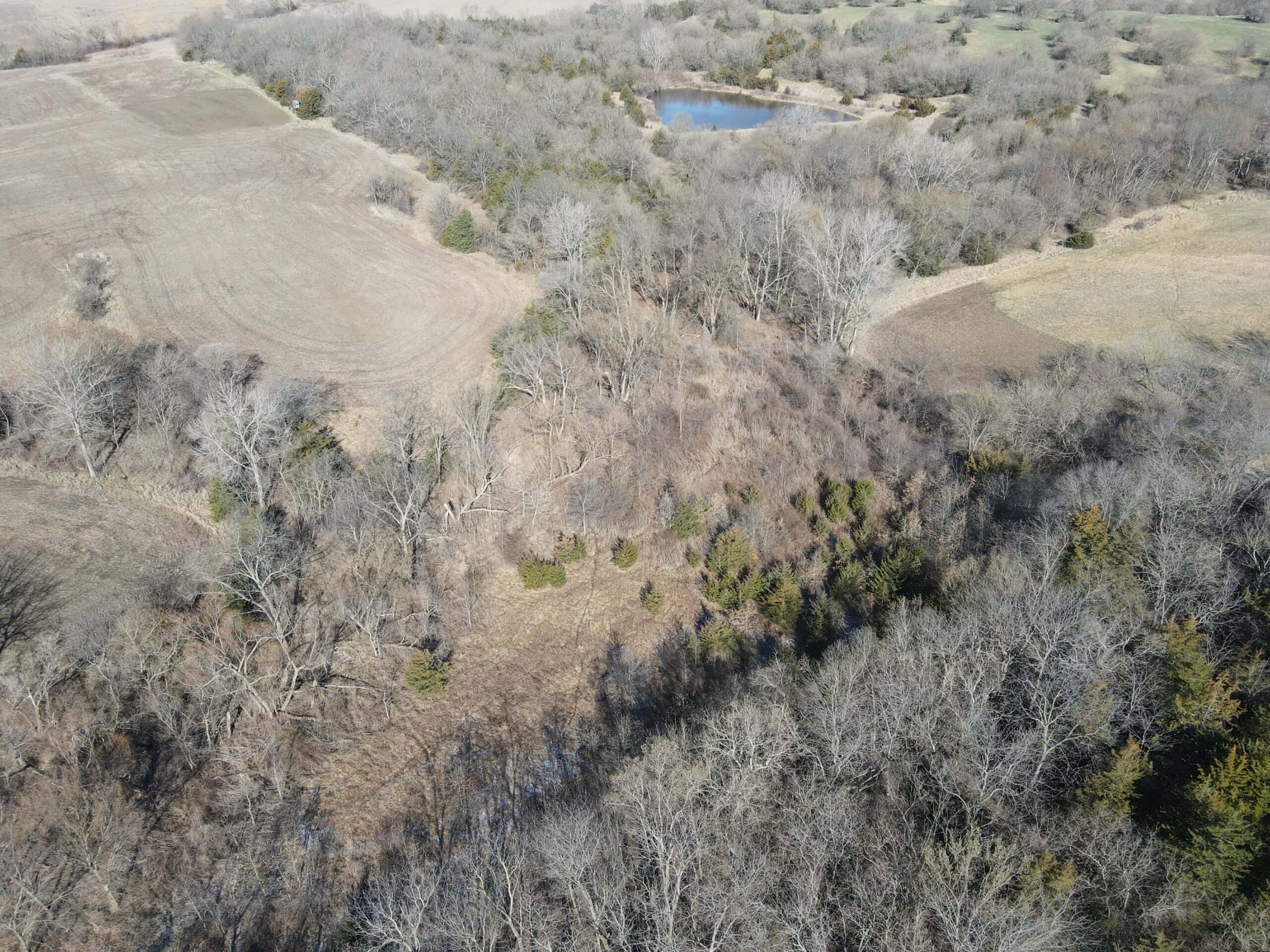Northern Missouri Combo Farm FOR SALE!