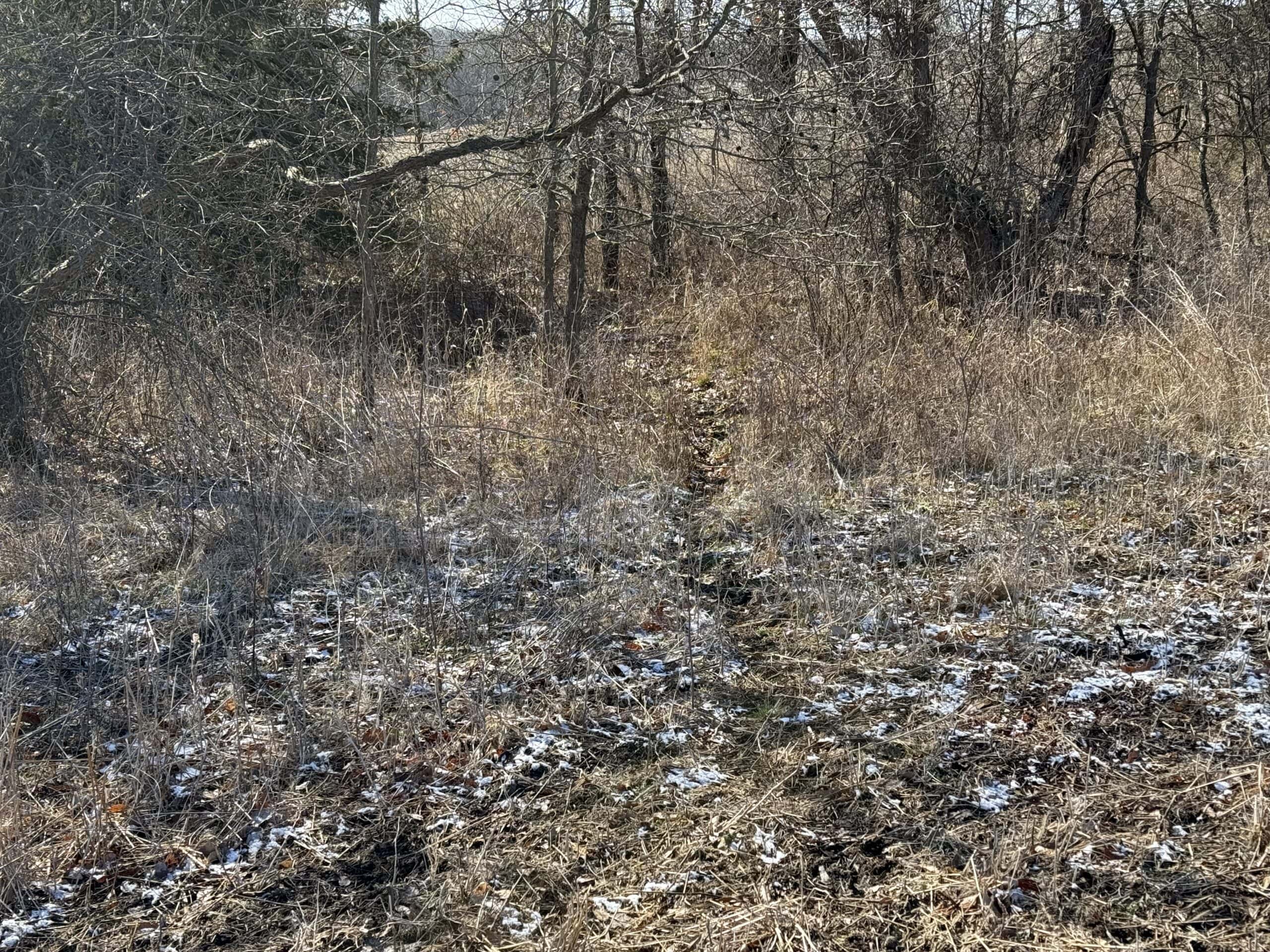 Northern Missouri Combo Farm FOR SALE!