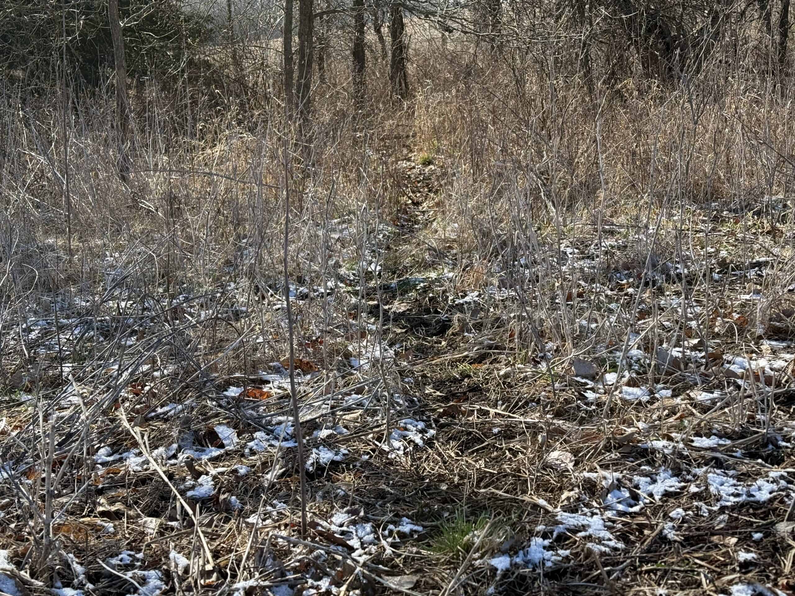 Northern Missouri Combo Farm FOR SALE!