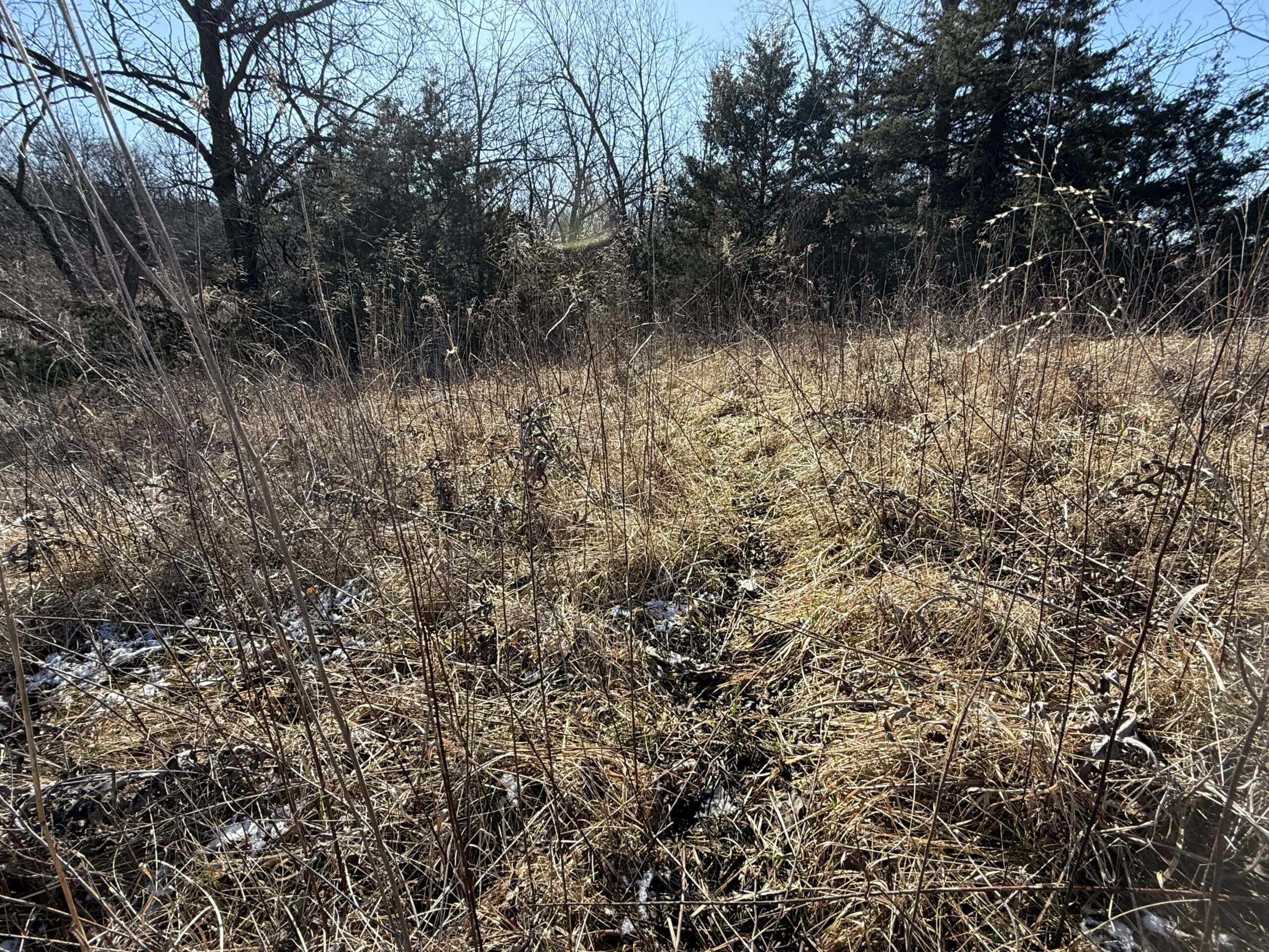 Northern Missouri Combo Farm FOR SALE!