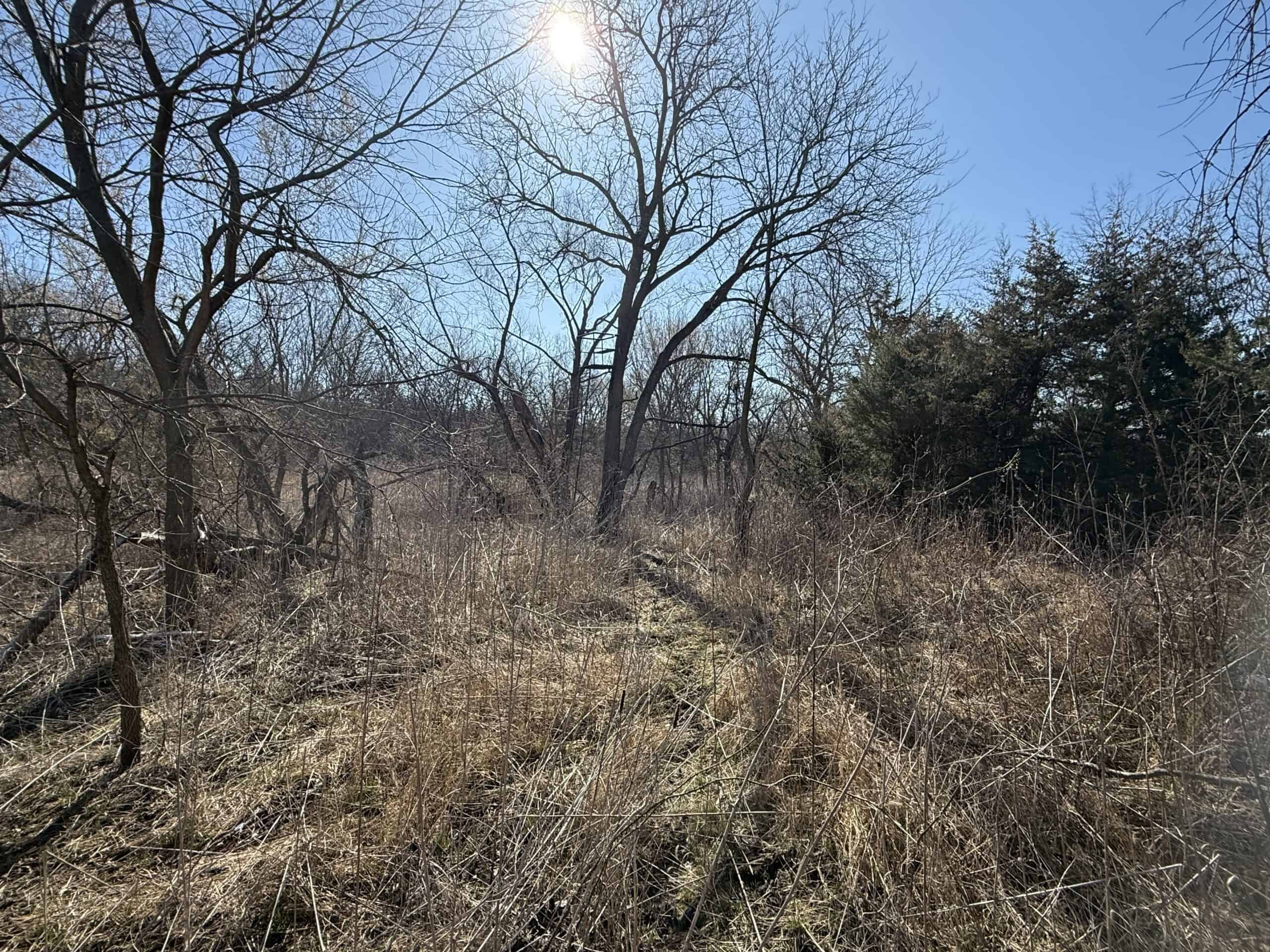 Northern Missouri Combo Farm FOR SALE!