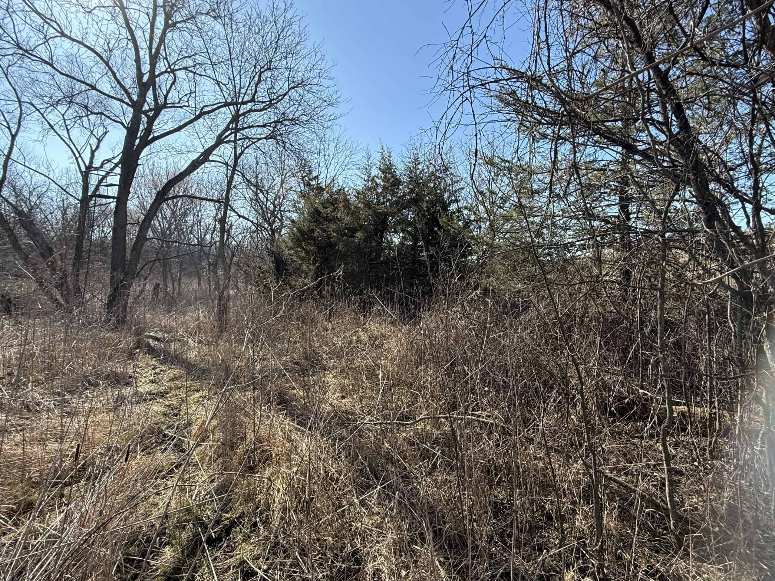 Northern Missouri Combo Farm FOR SALE!