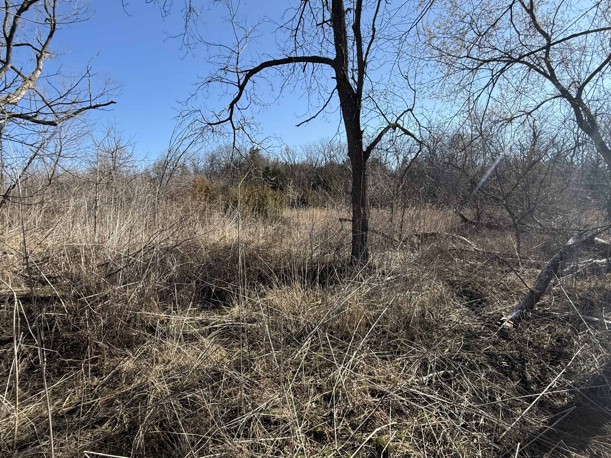 Northern Missouri Combo Farm FOR SALE!