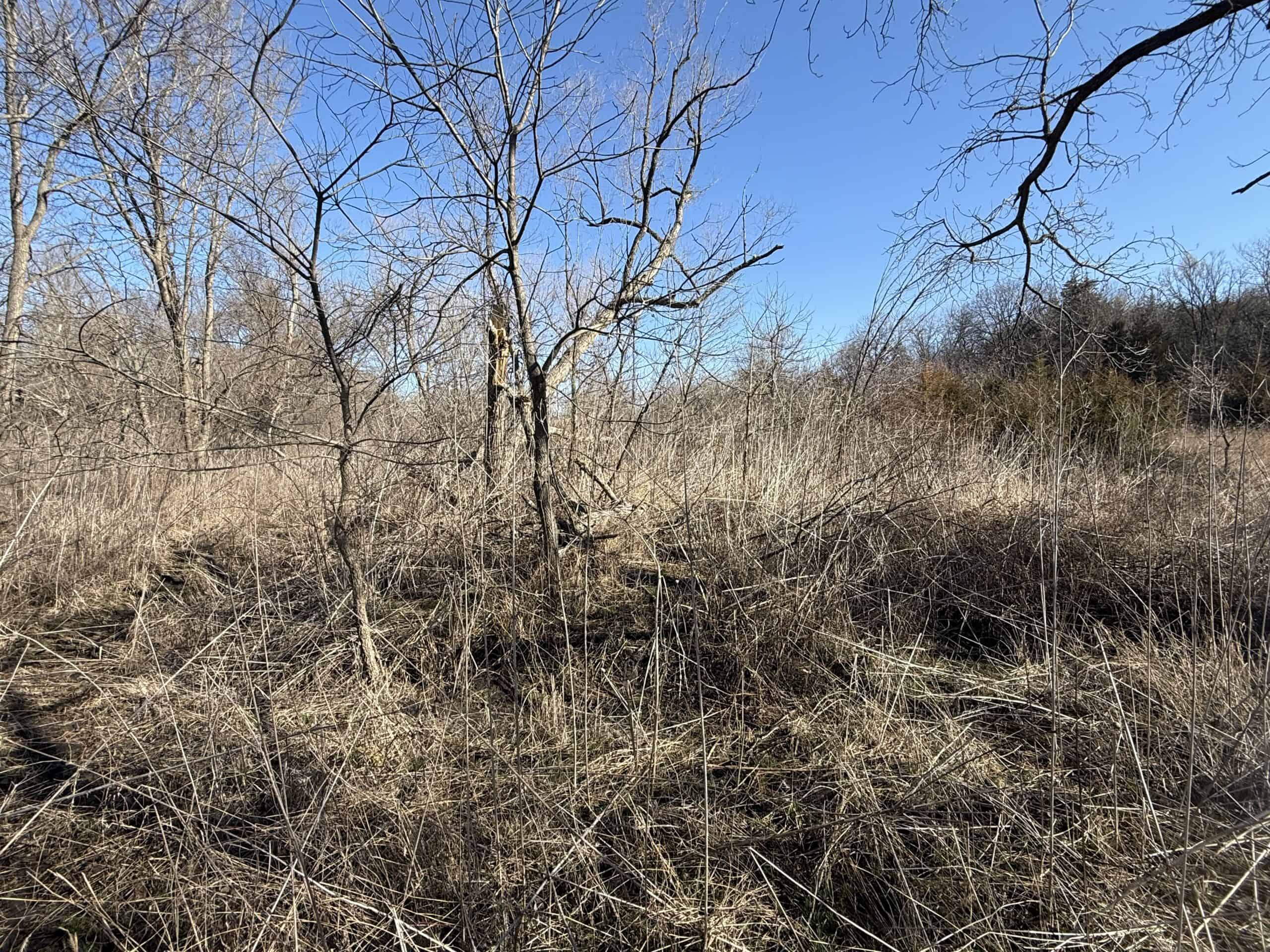 Northern Missouri Combo Farm FOR SALE!