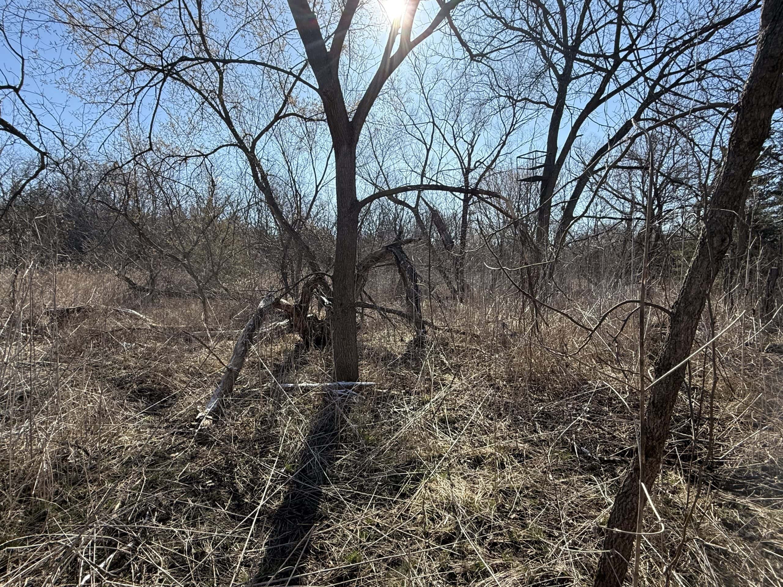 Northern Missouri Combo Farm FOR SALE!