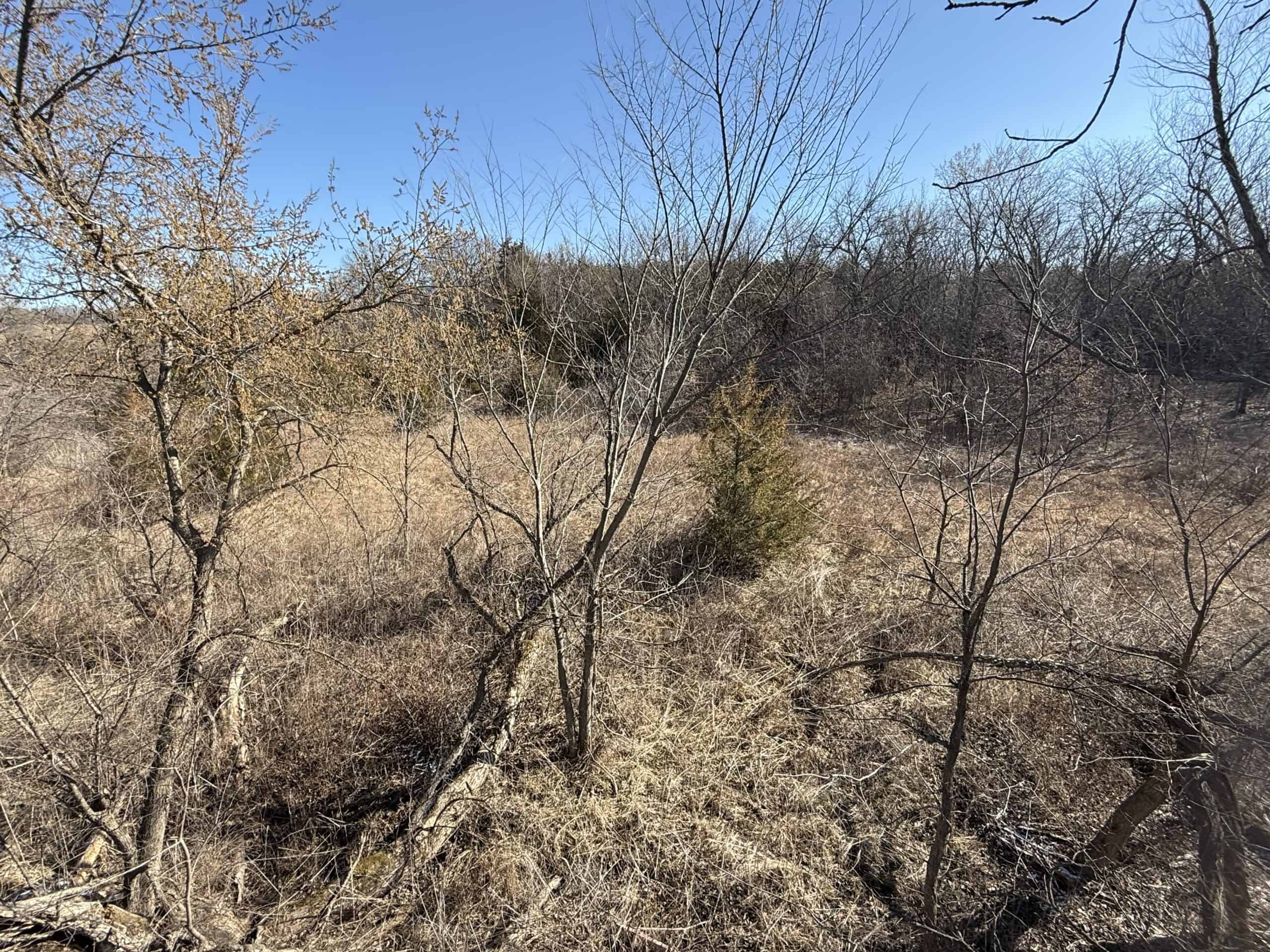Northern Missouri Combo Farm FOR SALE!