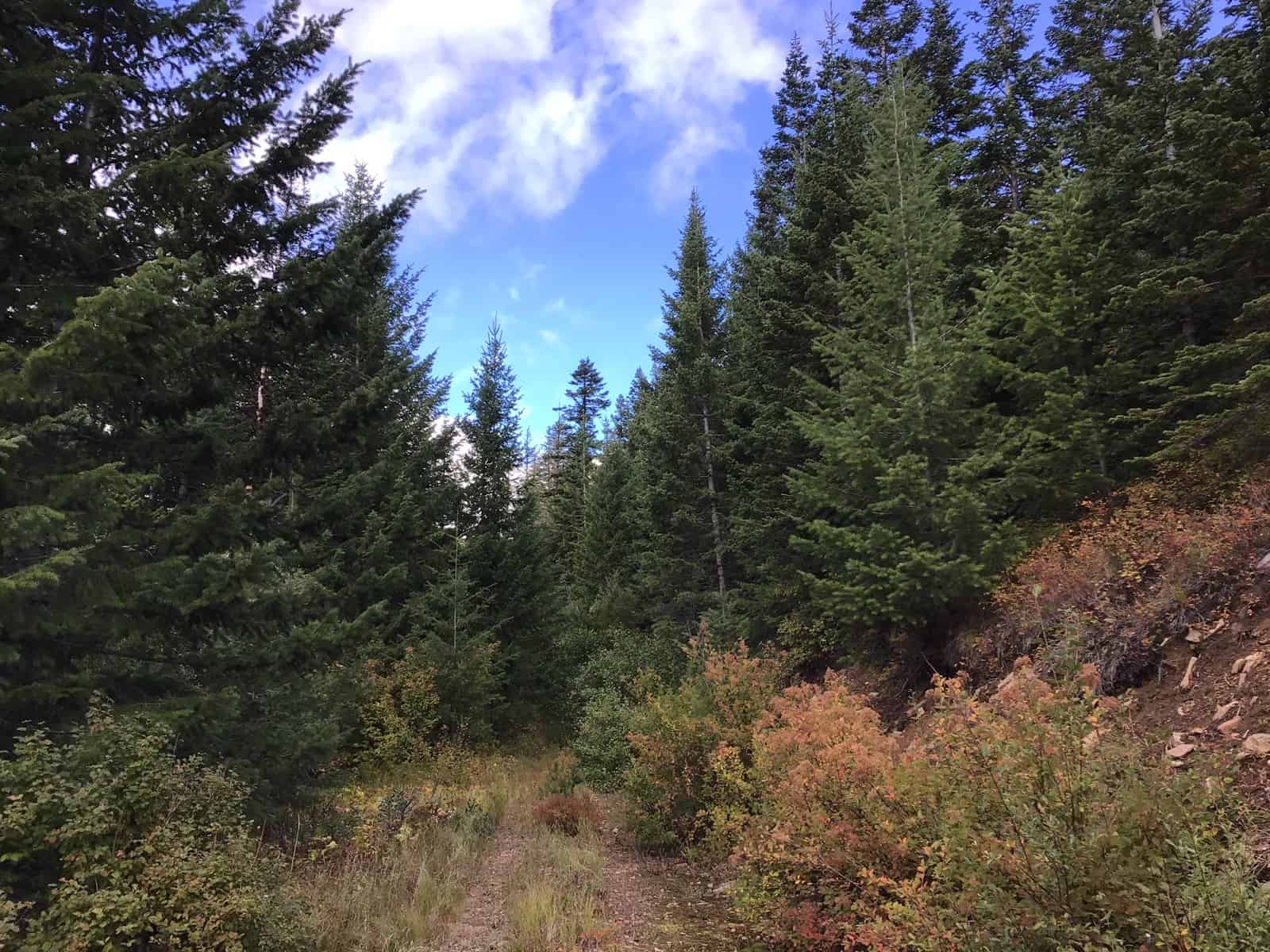 Recreational Land with Investment Opportunities in Cataldo, Idaho