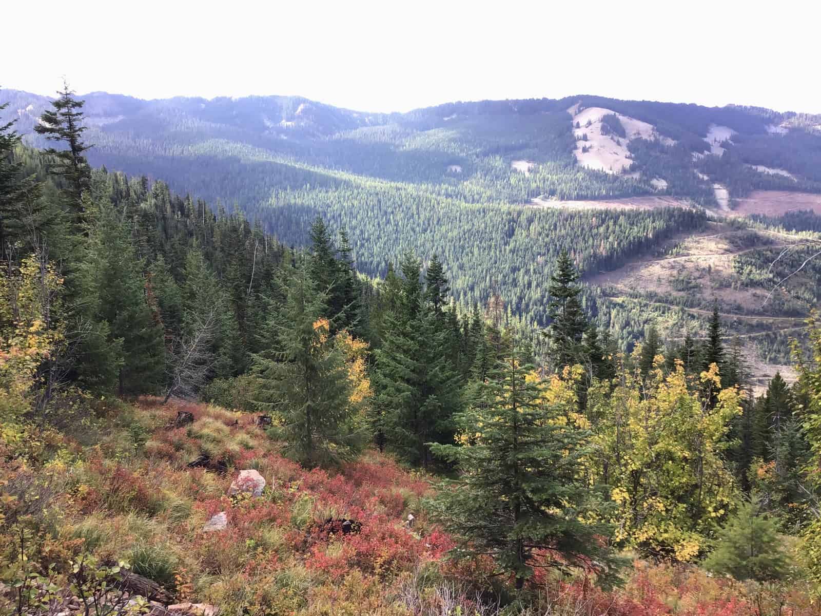 Recreational Land with Investment Opportunities in Cataldo, Idaho