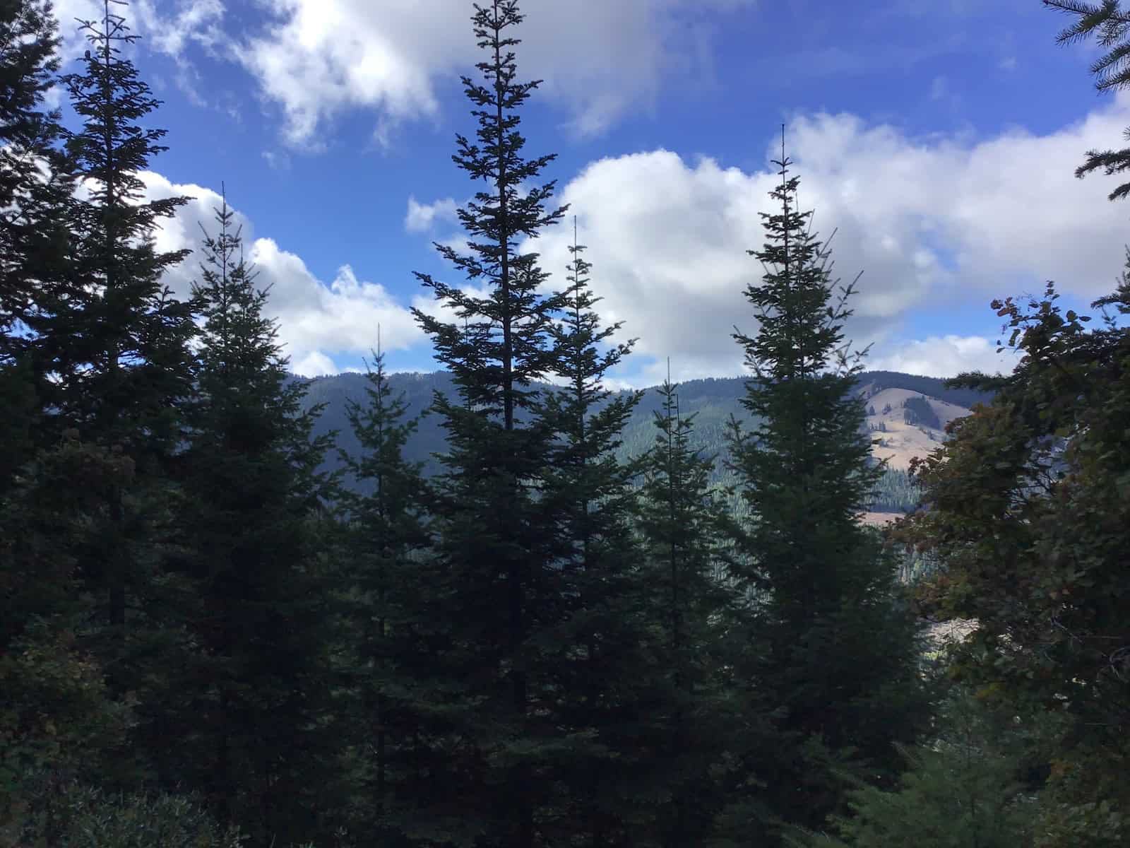 Recreational Land with Investment Opportunities in Cataldo, Idaho