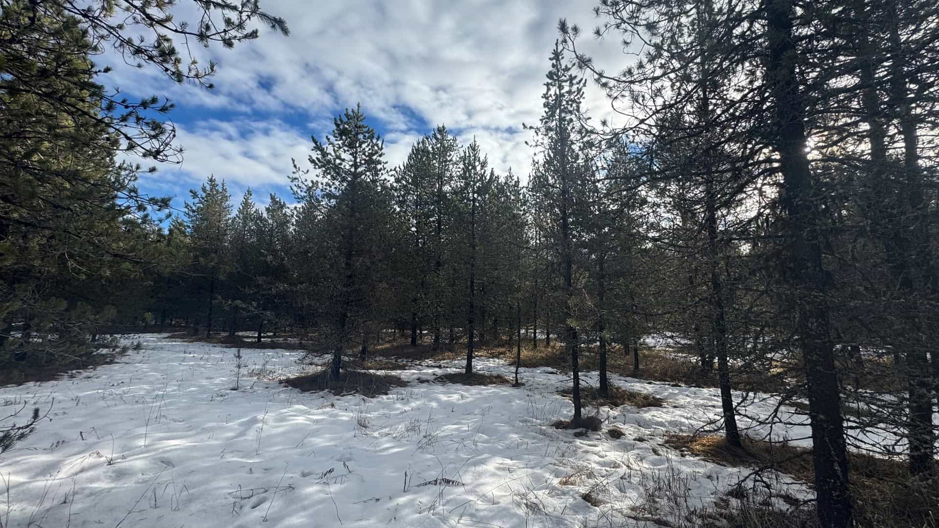 Land for Sale in Orofino, Idaho