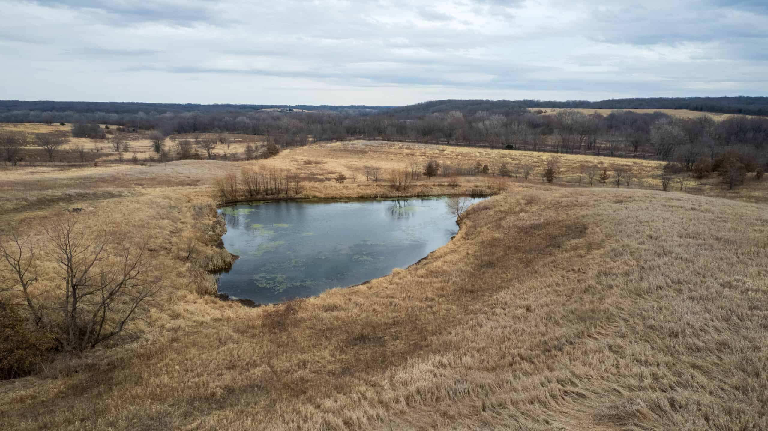 43 Acres | Hunting, Income Potential & Weekend Getaway | Monroe County, IA
