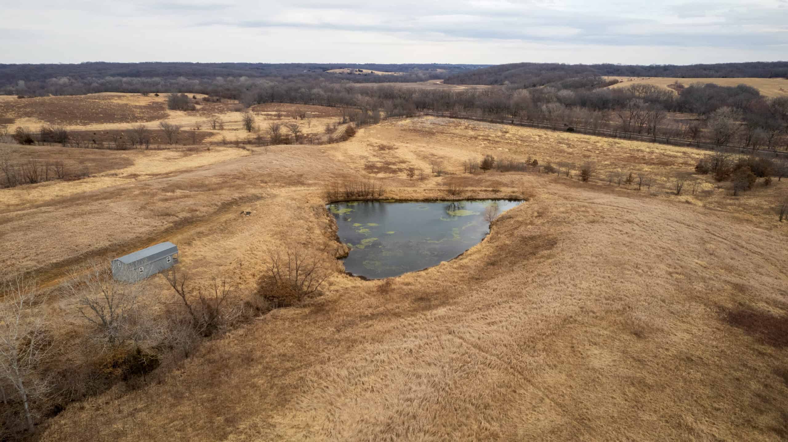 43 Acres | Hunting, Income Potential & Weekend Getaway | Monroe County, IA