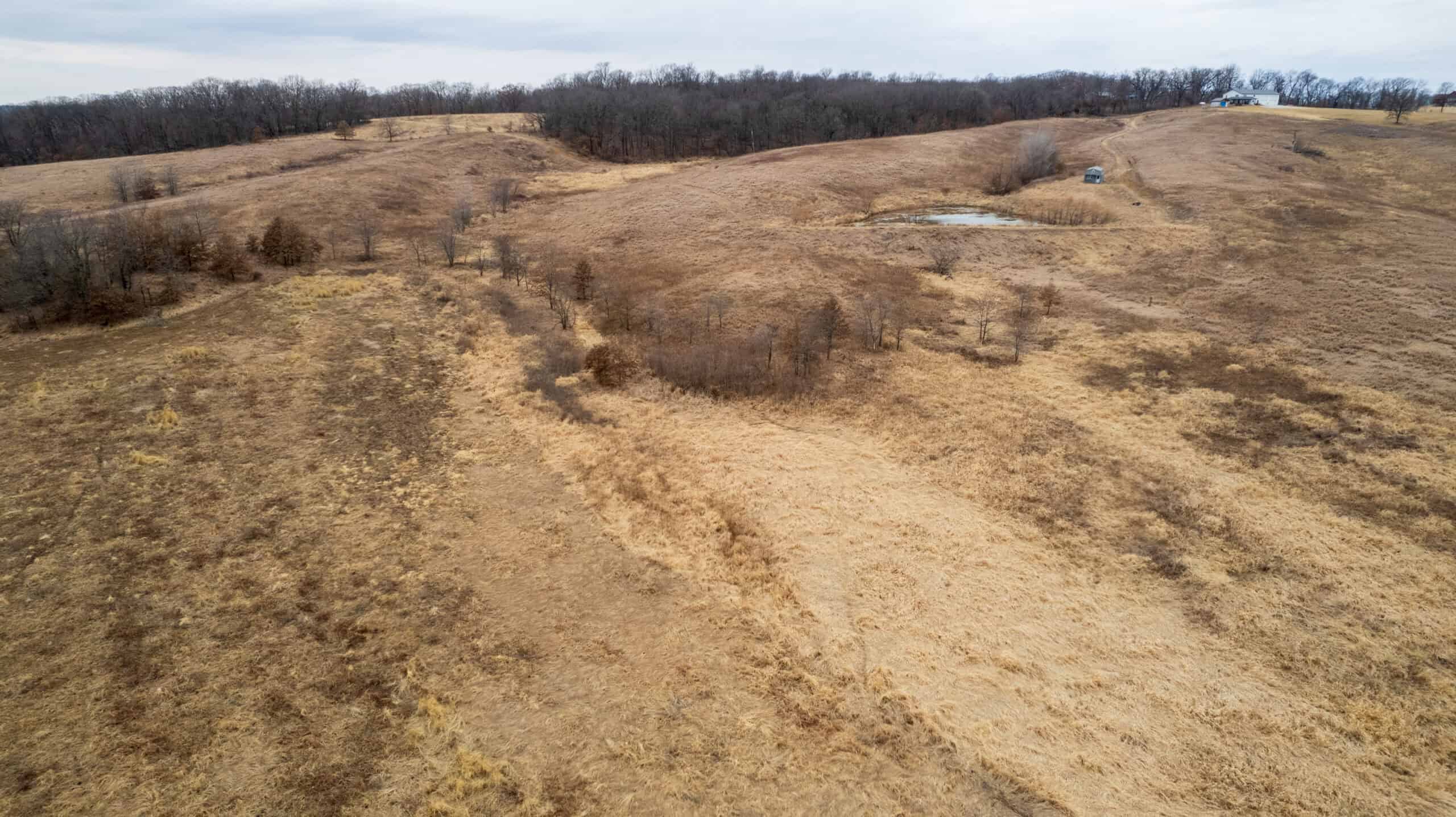 43 Acres | Hunting, Income Potential & Weekend Getaway | Monroe County, IA