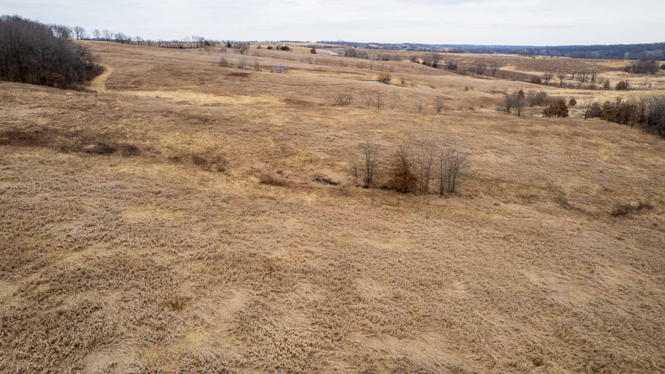 43 Acres | Hunting, Income Potential & Weekend Getaway | Monroe County, IA