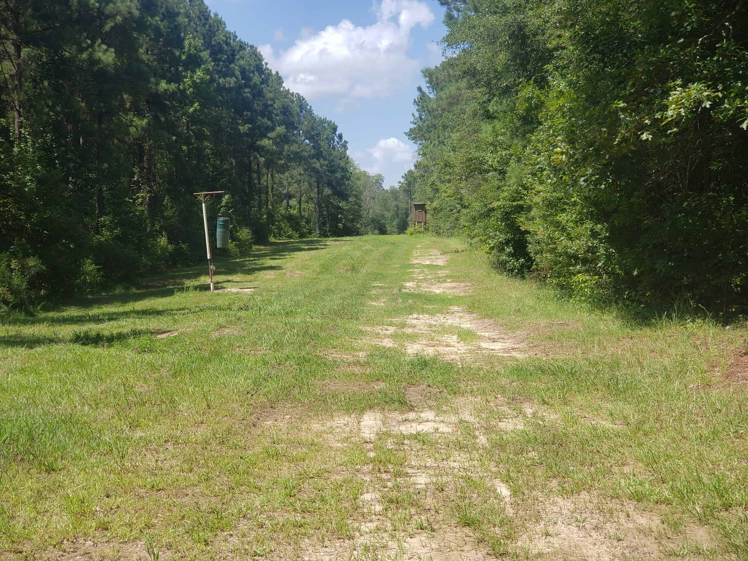 Hunting Property in Winn Parish LA For Sale