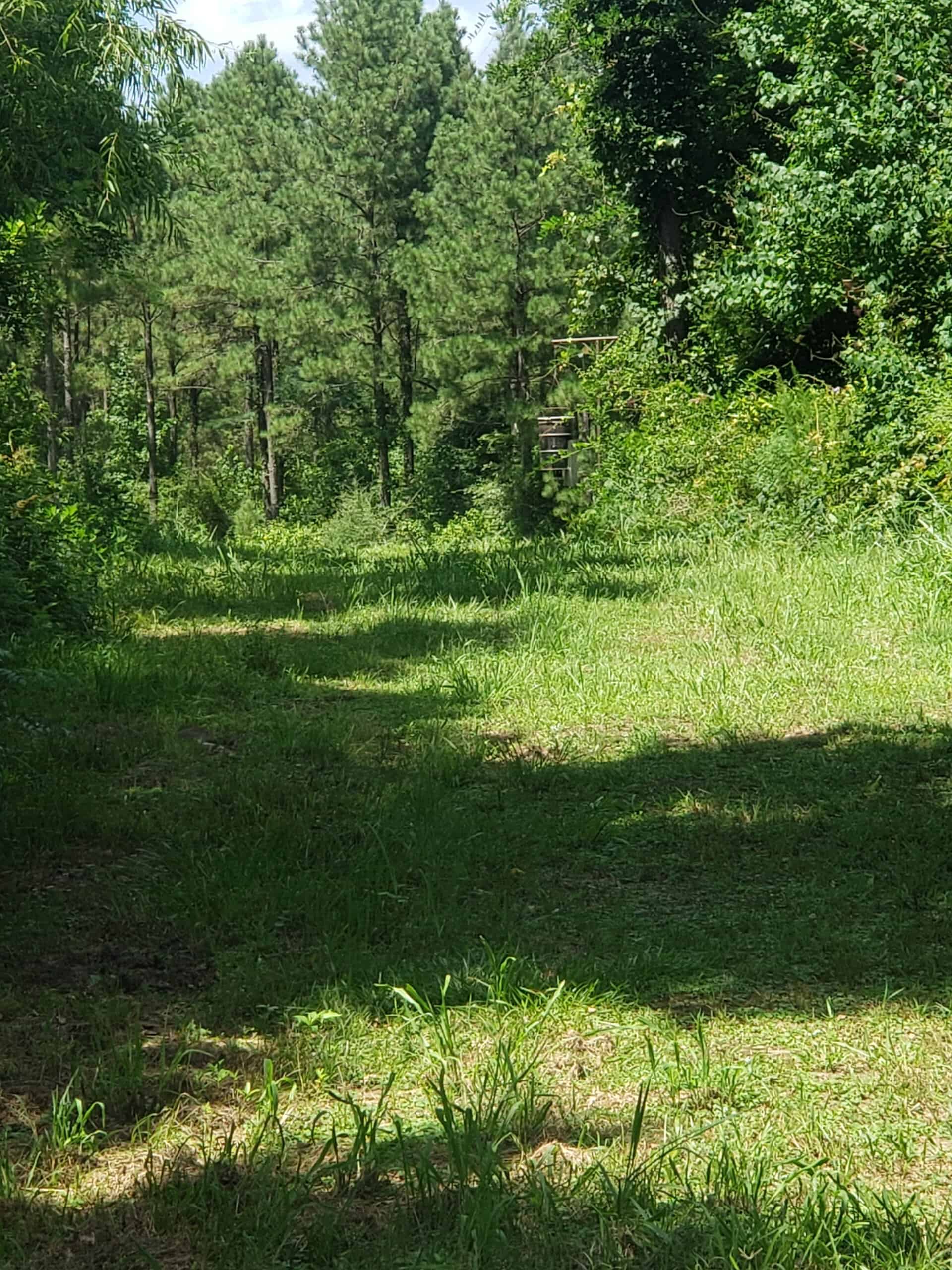 Hunting Property in Winn Parish LA For Sale