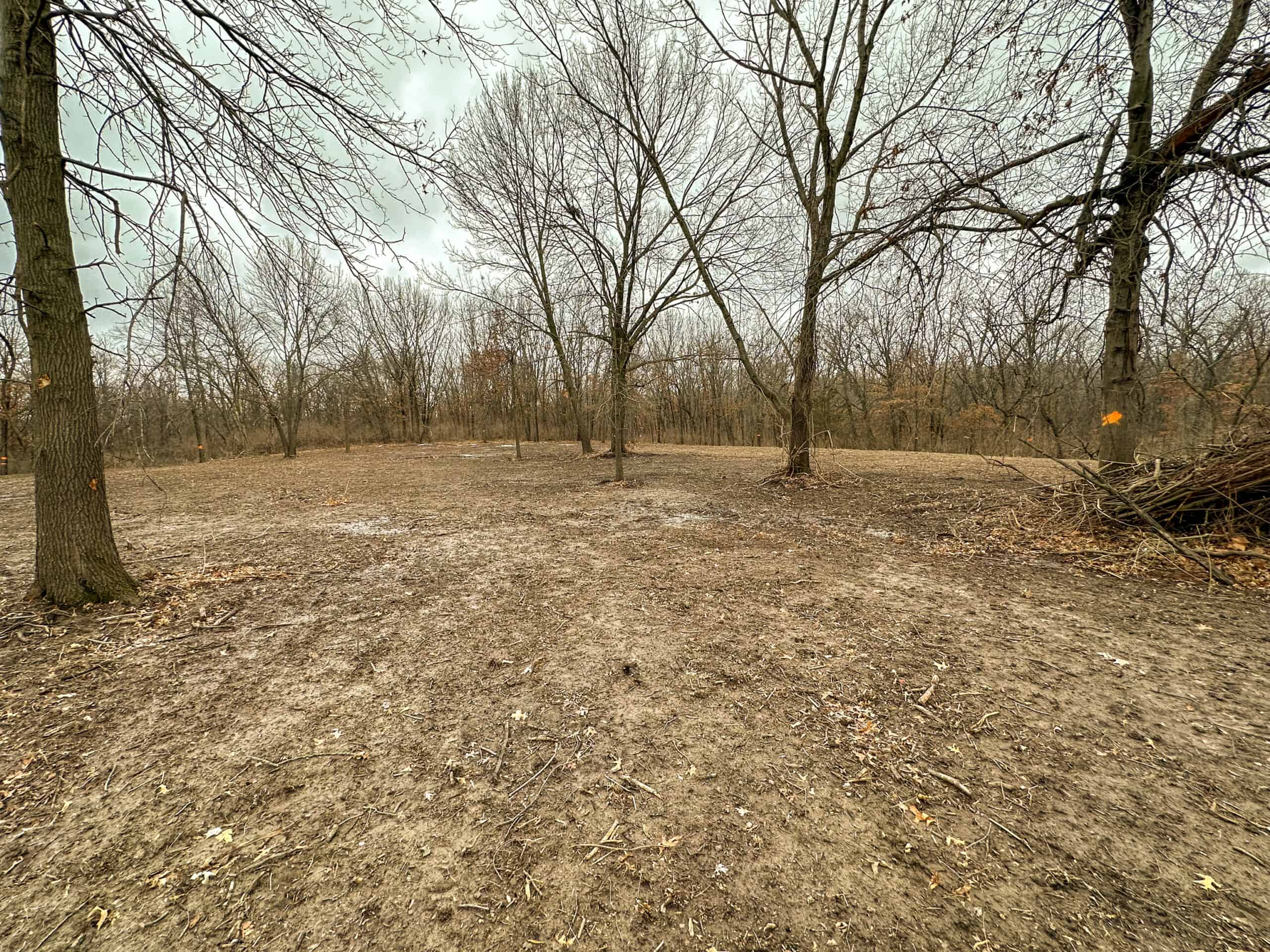 77 Acres | Timber, Hunting & Building Site Inside Ottumwa City Limits