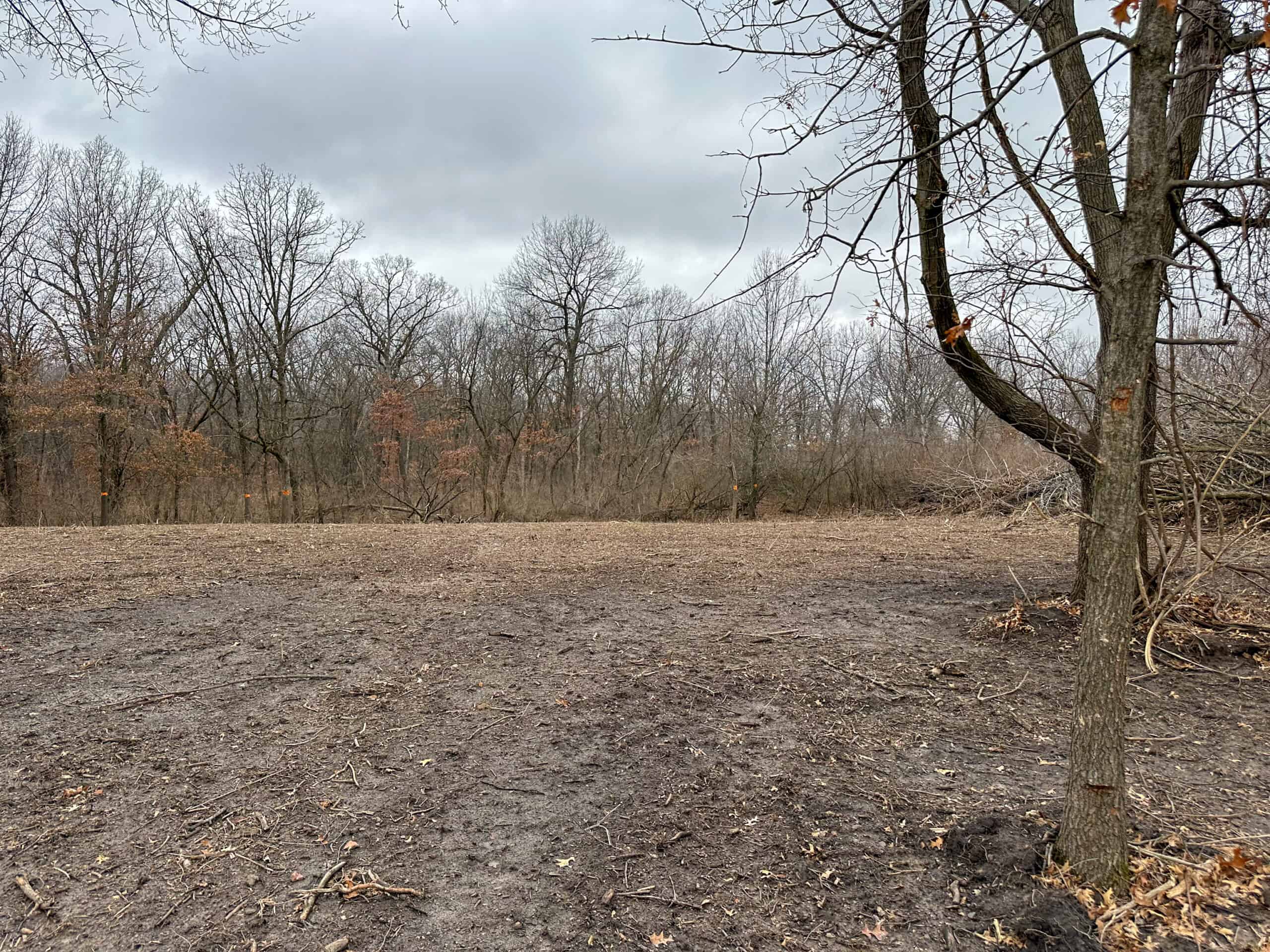 77 Acres | Timber, Hunting & Building Site Inside Ottumwa City Limits