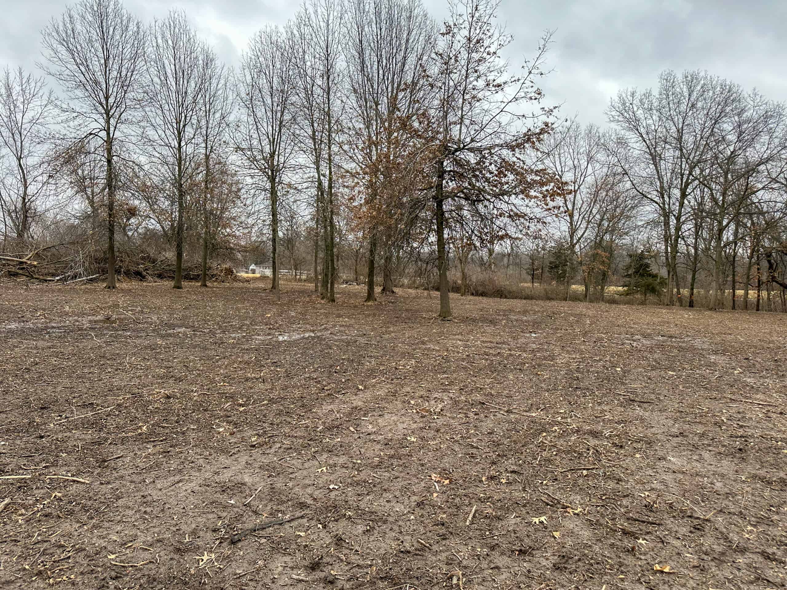 77 Acres | Timber, Hunting & Building Site Inside Ottumwa City Limits