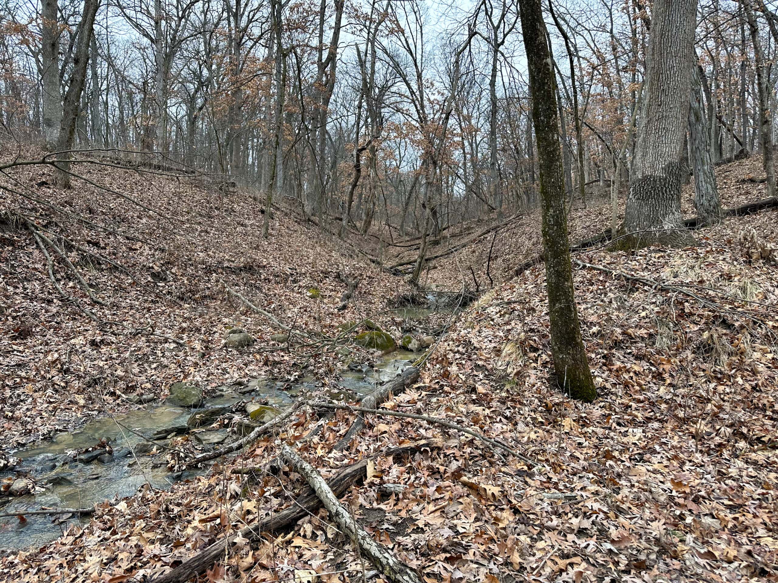 77 Acres | Timber, Hunting & Building Site Inside Ottumwa City Limits
