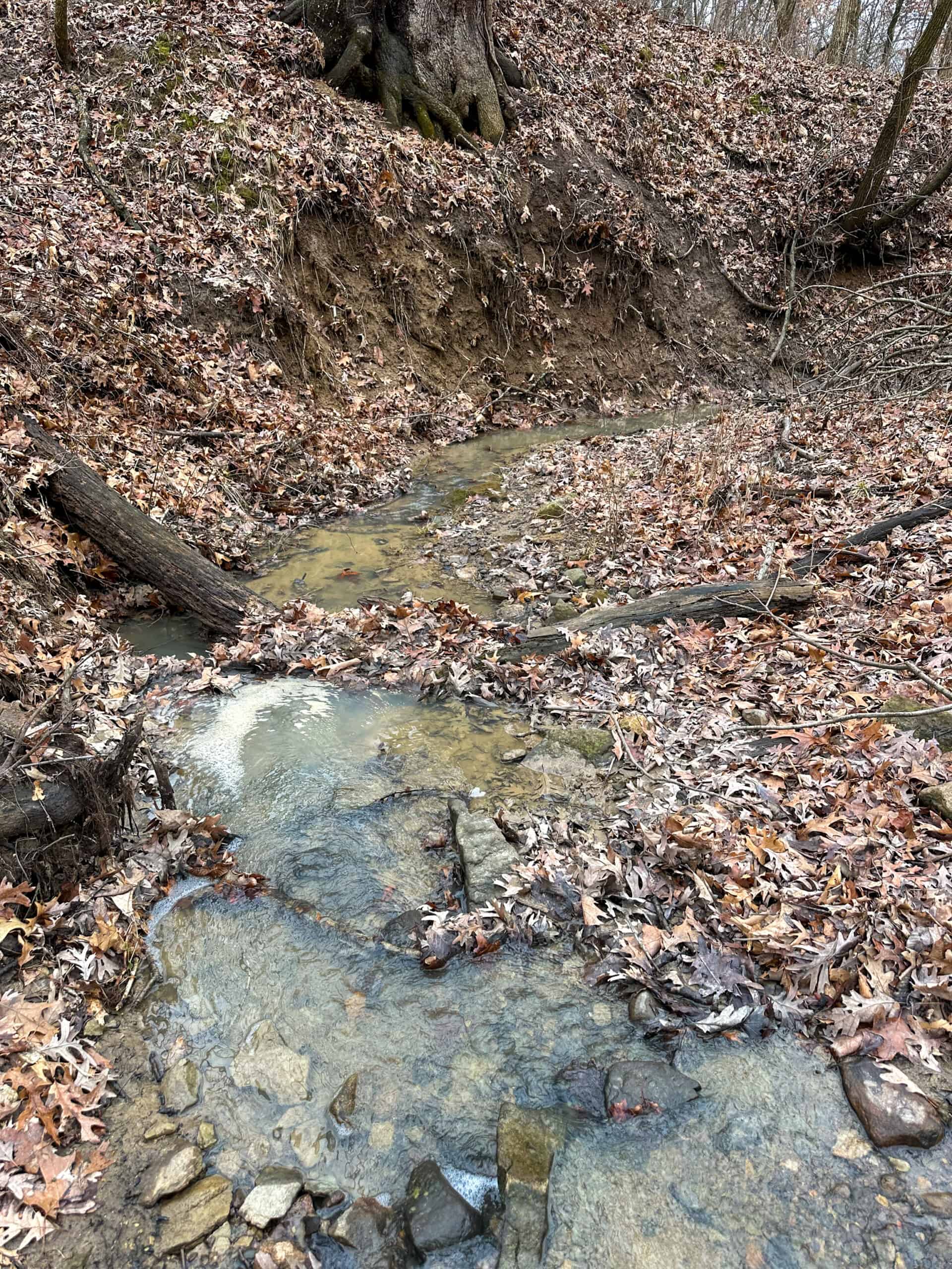 77 Acres | Timber, Hunting & Building Site Inside Ottumwa City Limits