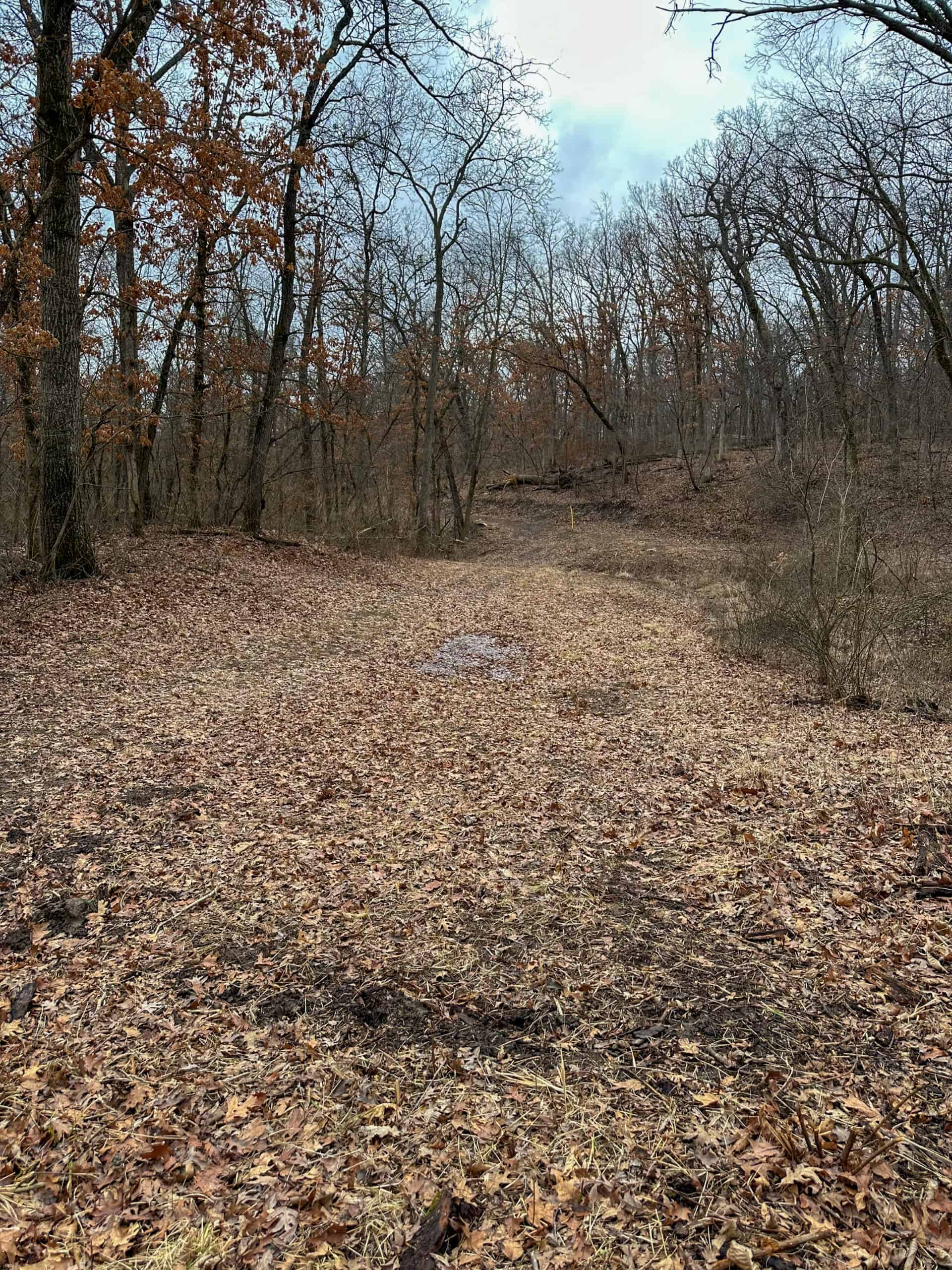 77 Acres | Timber, Hunting & Building Site Inside Ottumwa City Limits