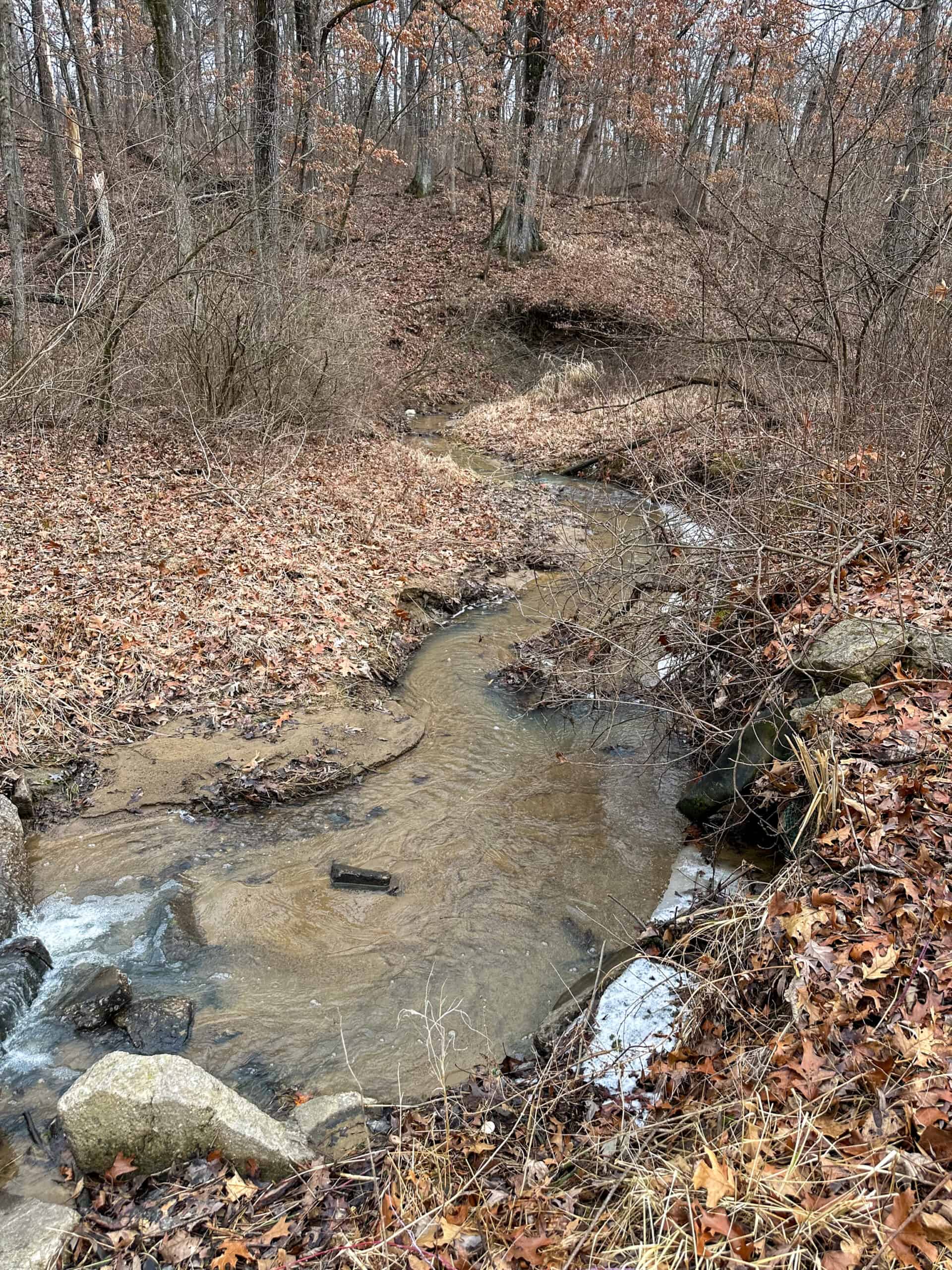 77 Acres | Timber, Hunting & Building Site Inside Ottumwa City Limits