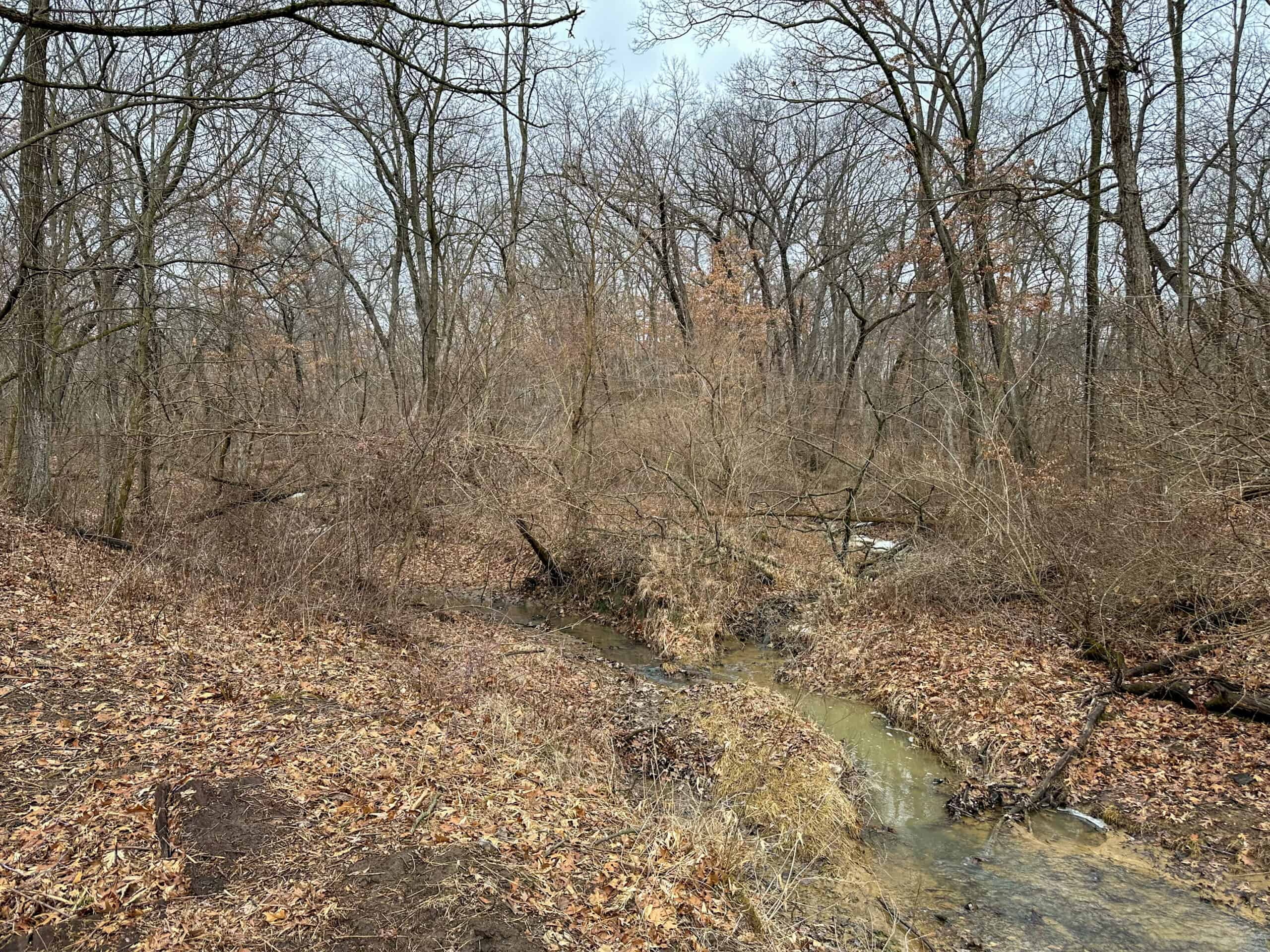 77 Acres | Timber, Hunting & Building Site Inside Ottumwa City Limits