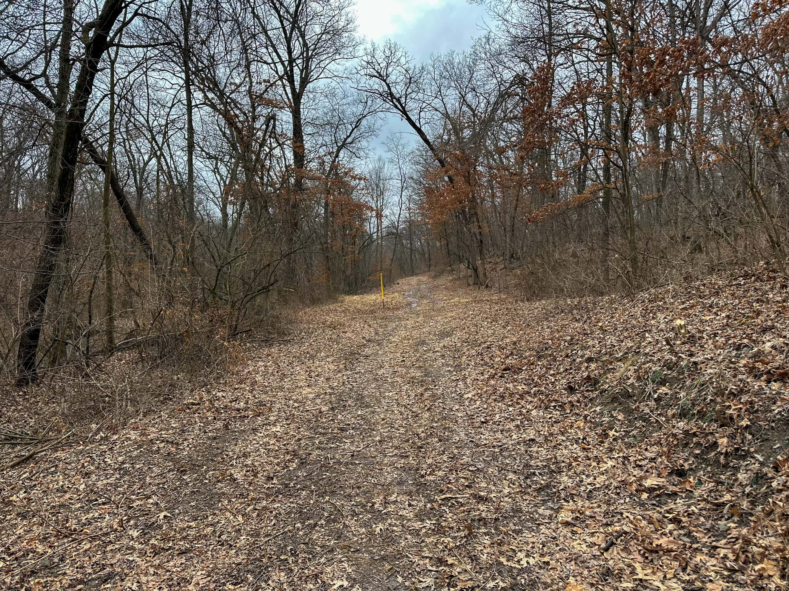 77 Acres | Timber, Hunting & Building Site Inside Ottumwa City Limits