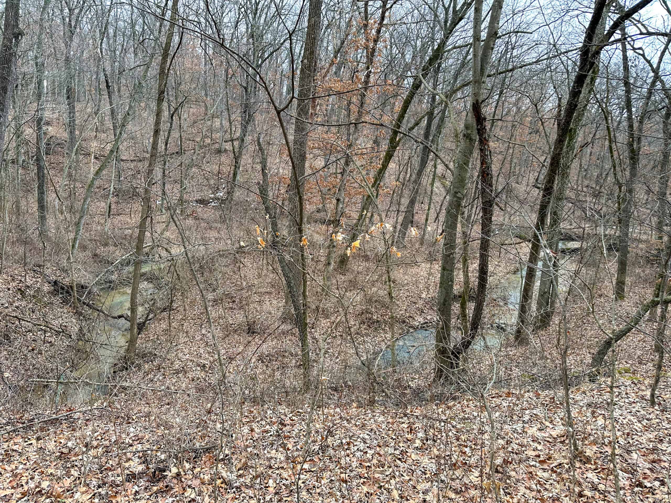 77 Acres | Timber, Hunting & Building Site Inside Ottumwa City Limits