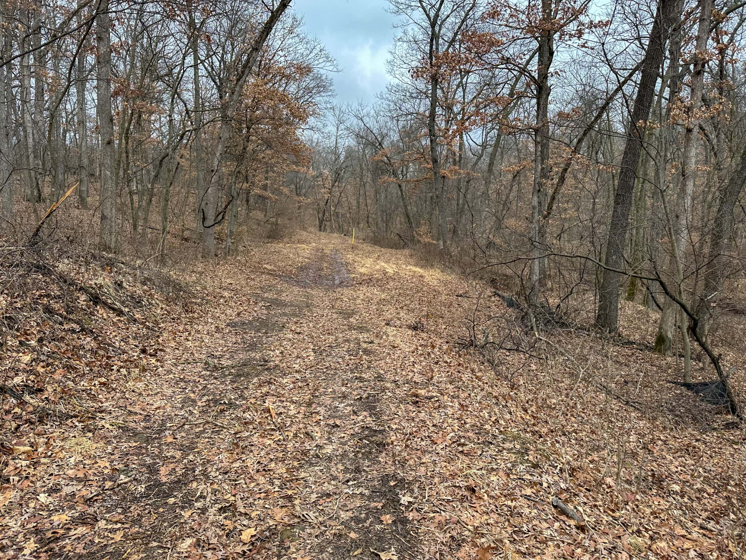 77 Acres | Timber, Hunting & Building Site Inside Ottumwa City Limits