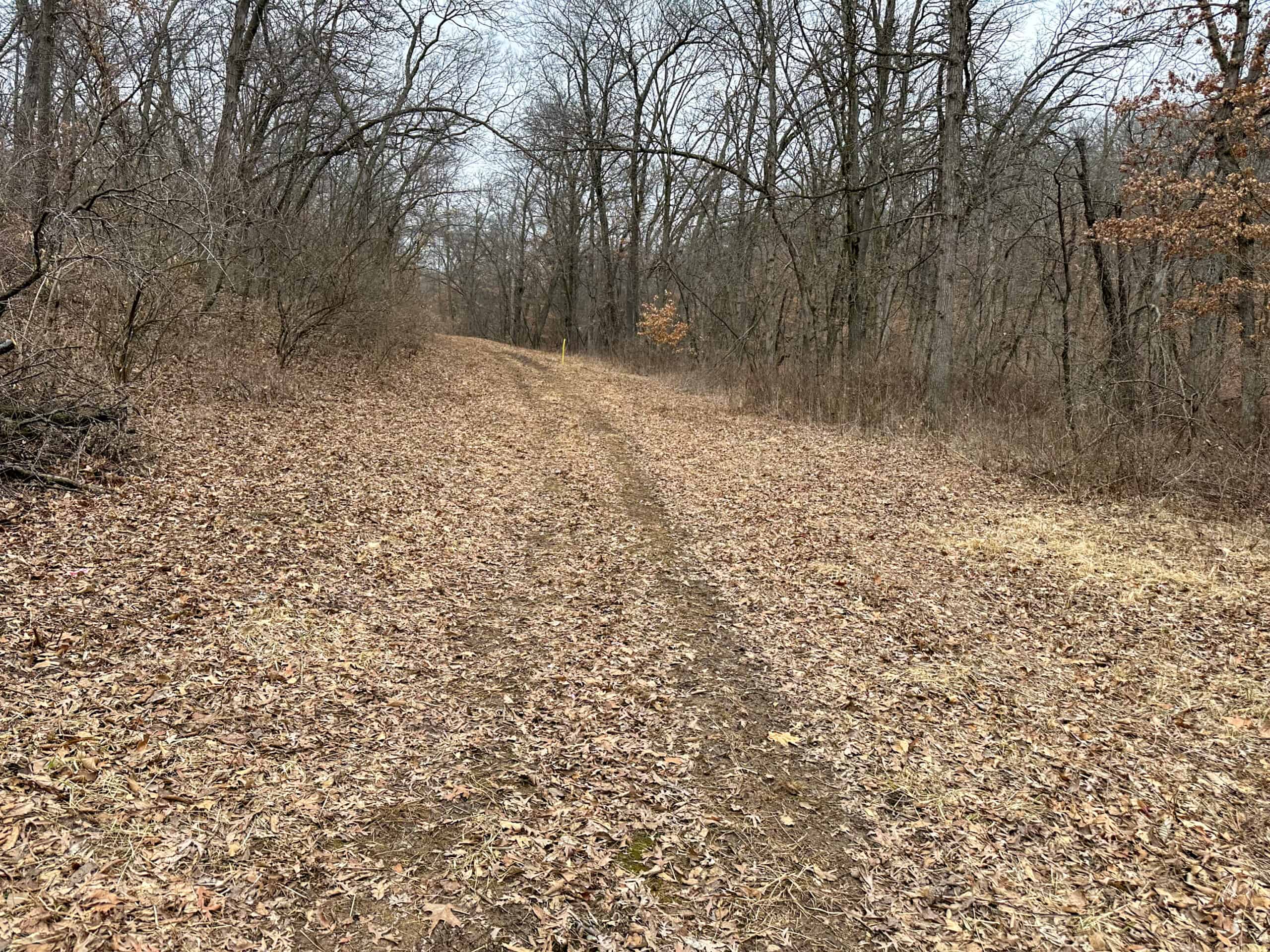 77 Acres | Timber, Hunting & Building Site Inside Ottumwa City Limits