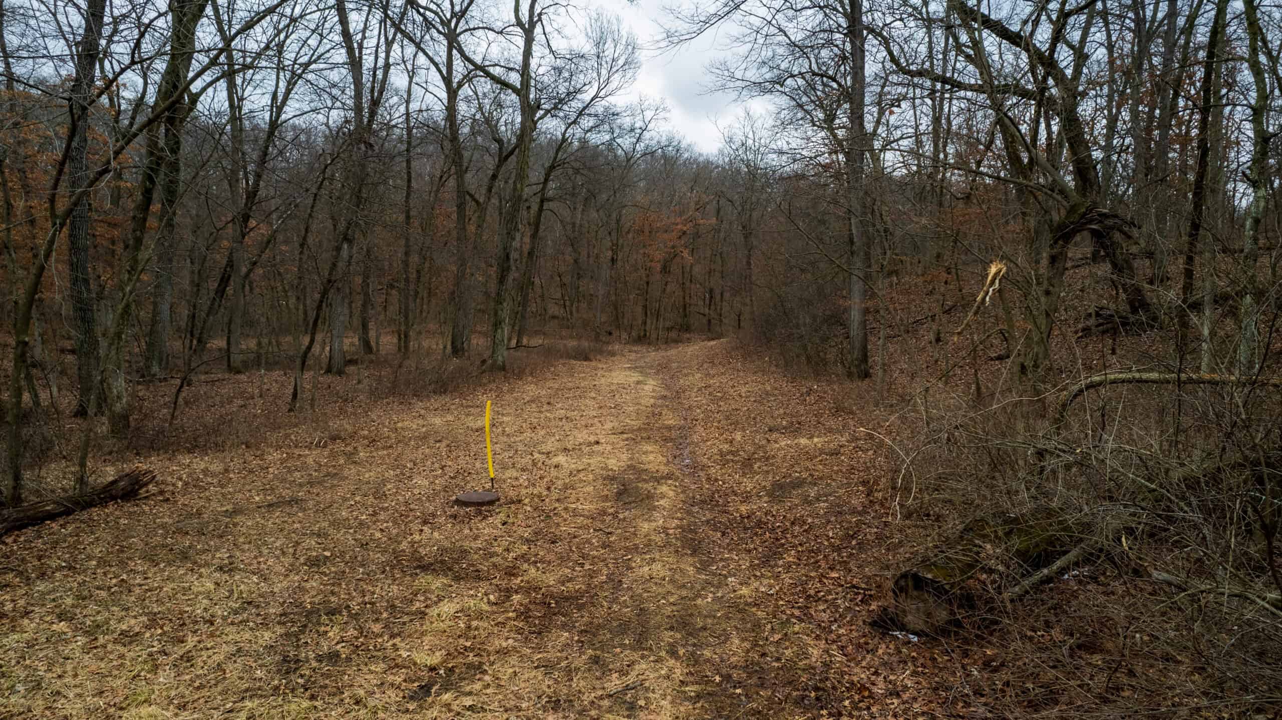 77 Acres | Timber, Hunting & Building Site Inside Ottumwa City Limits