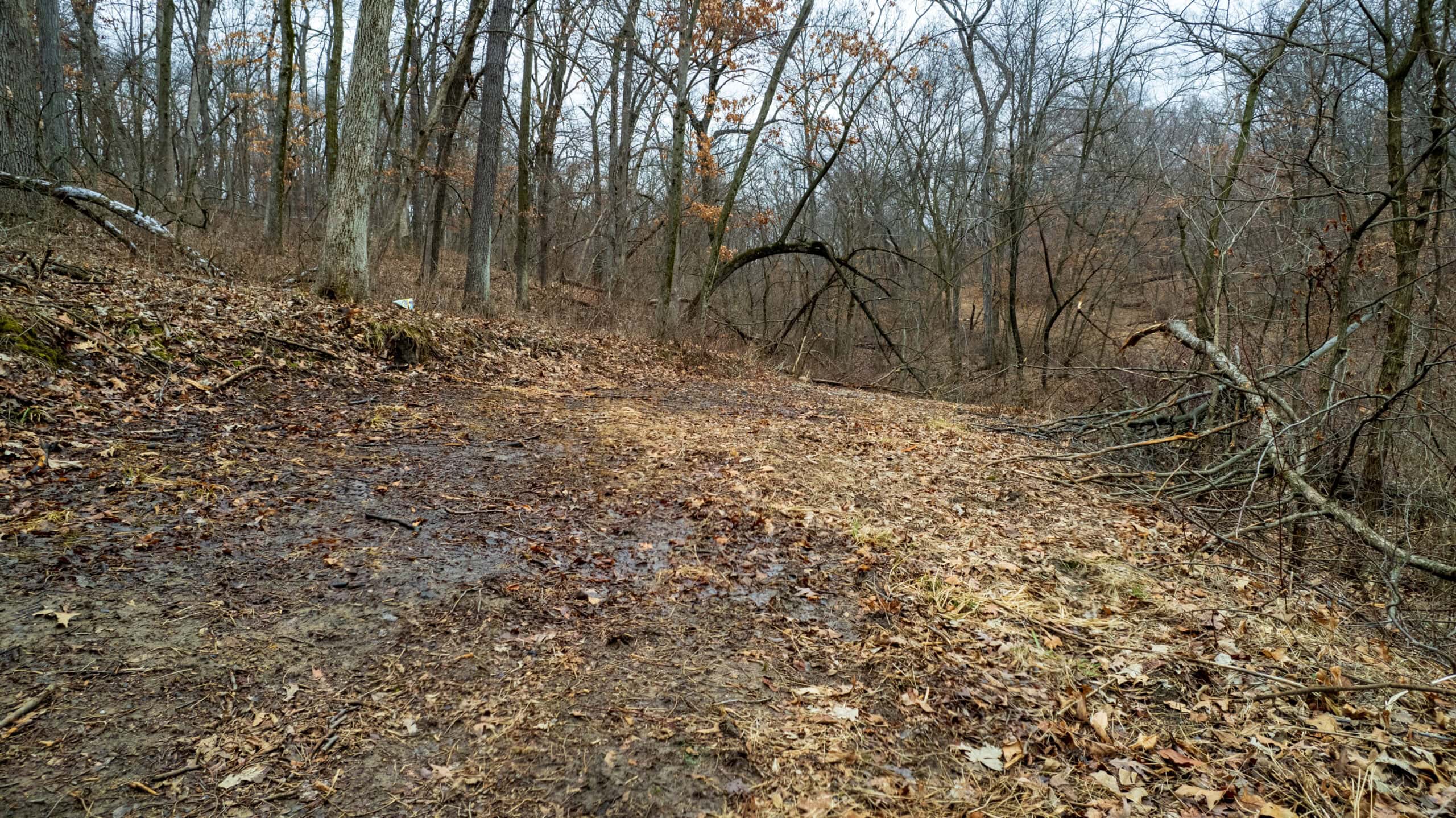 77 Acres | Timber, Hunting & Building Site Inside Ottumwa City Limits