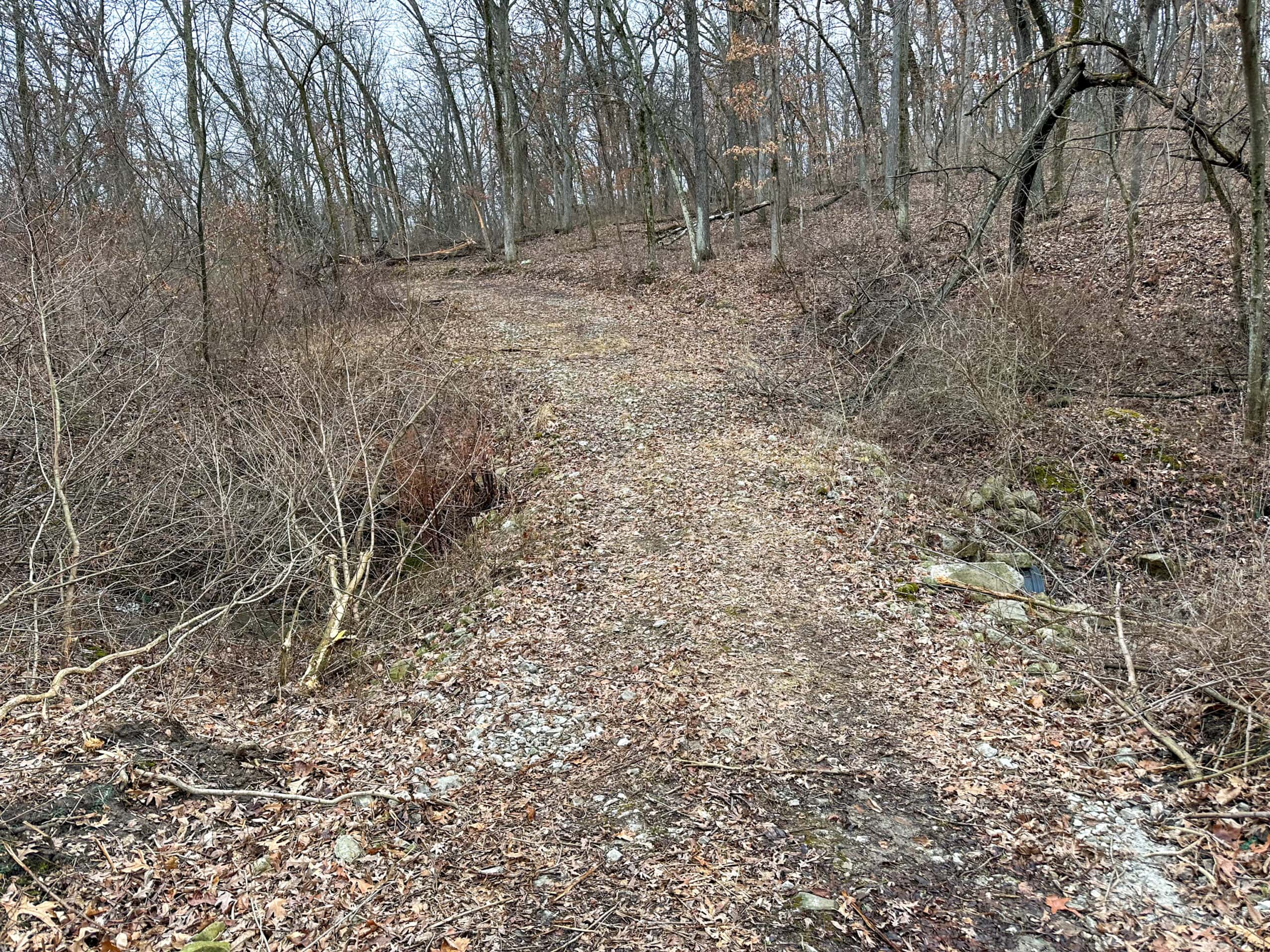 77 Acres | Timber, Hunting & Building Site Inside Ottumwa City Limits